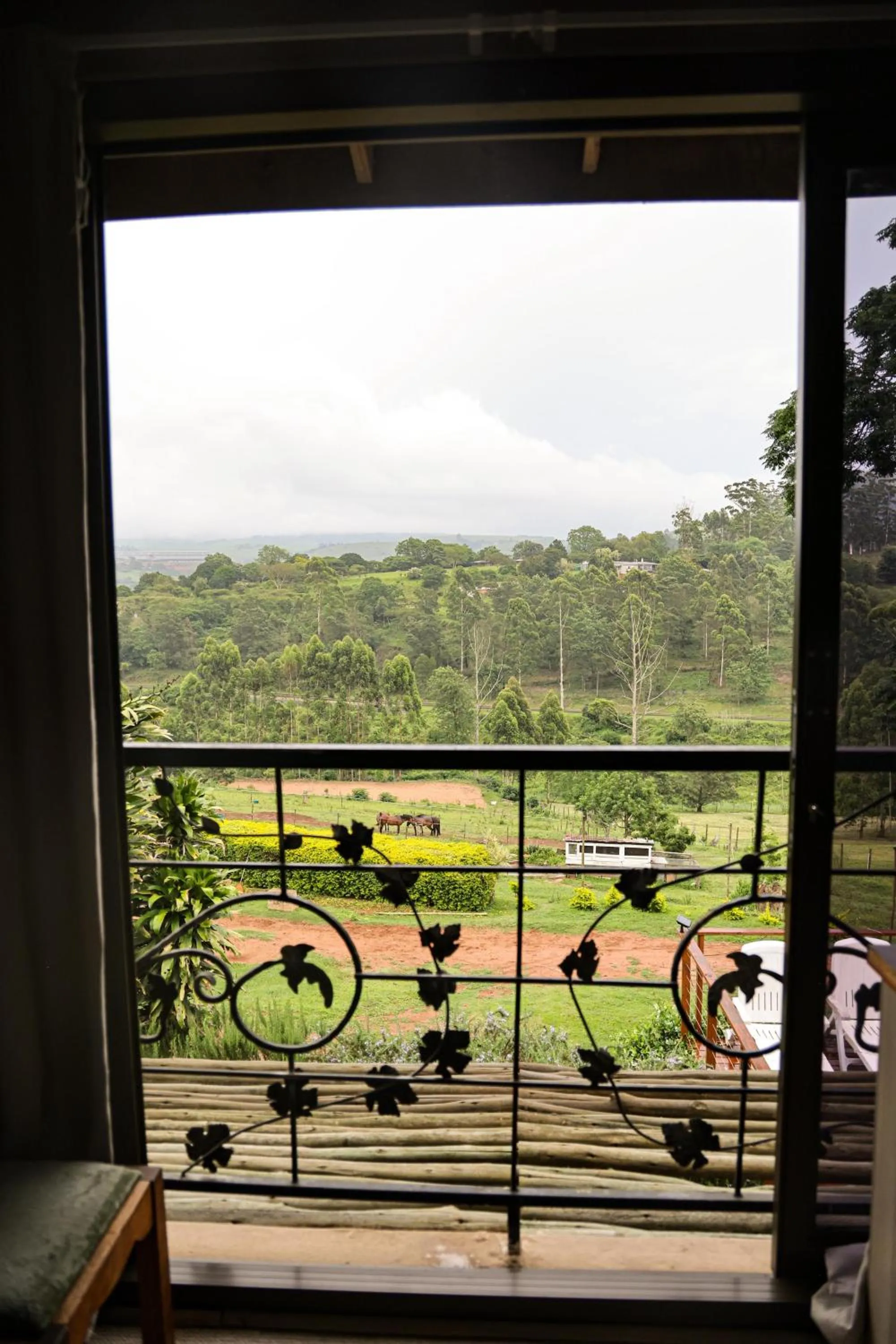 Cavalo Guesthouse & Equestrian Estate