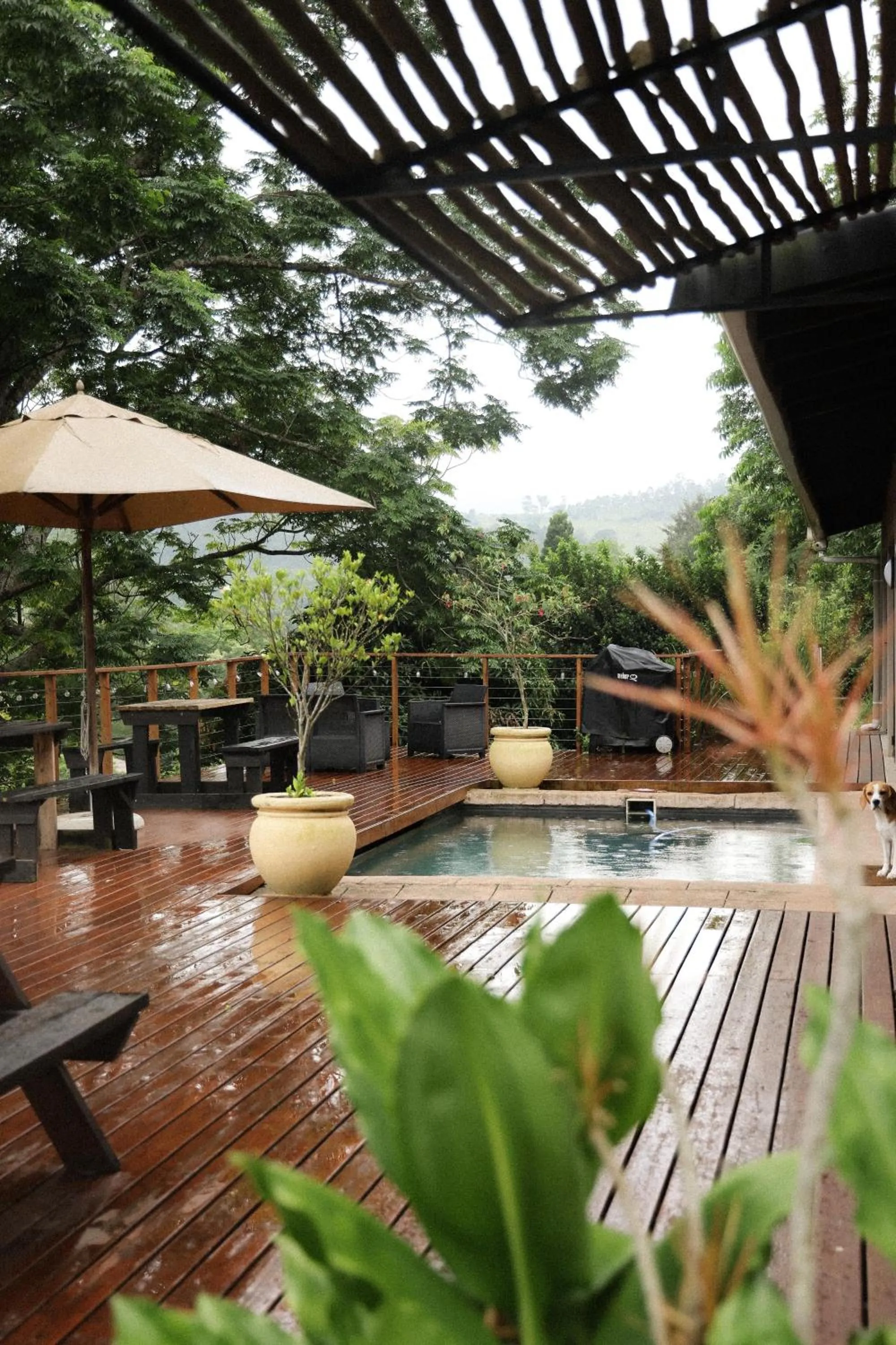 Cavalo Guesthouse & Equestrian Estate