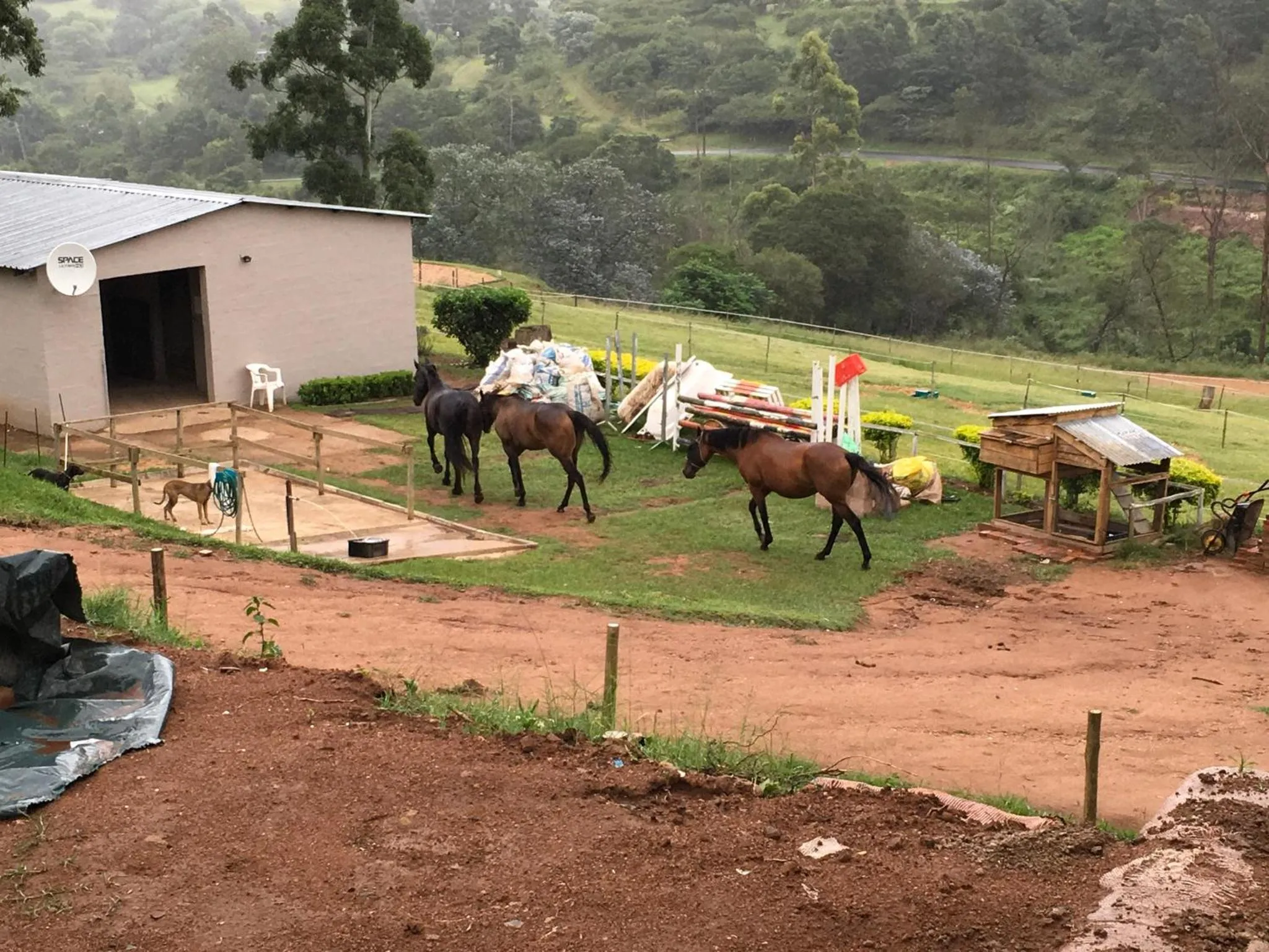 Garden in Cavalo Guesthouse & Equestrian Estate