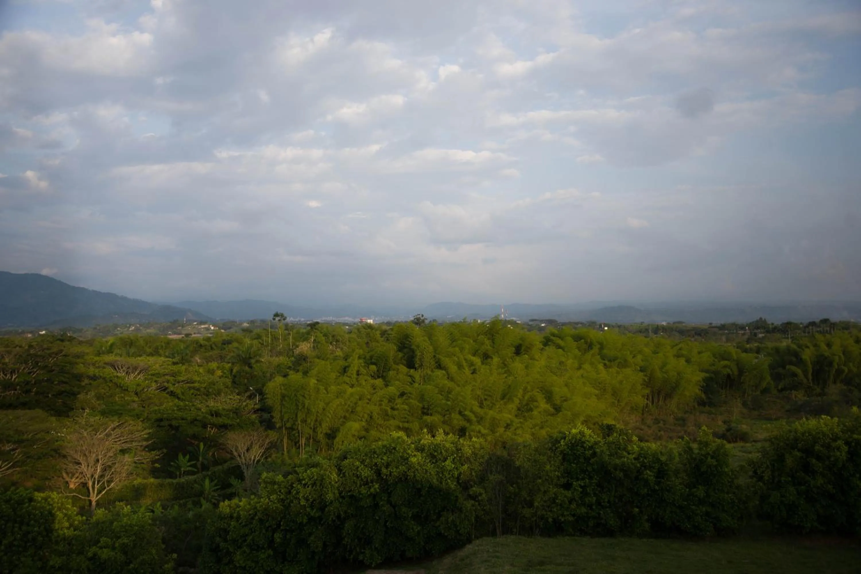 View (from property/room) in Hotel San Antonio del Cerro
