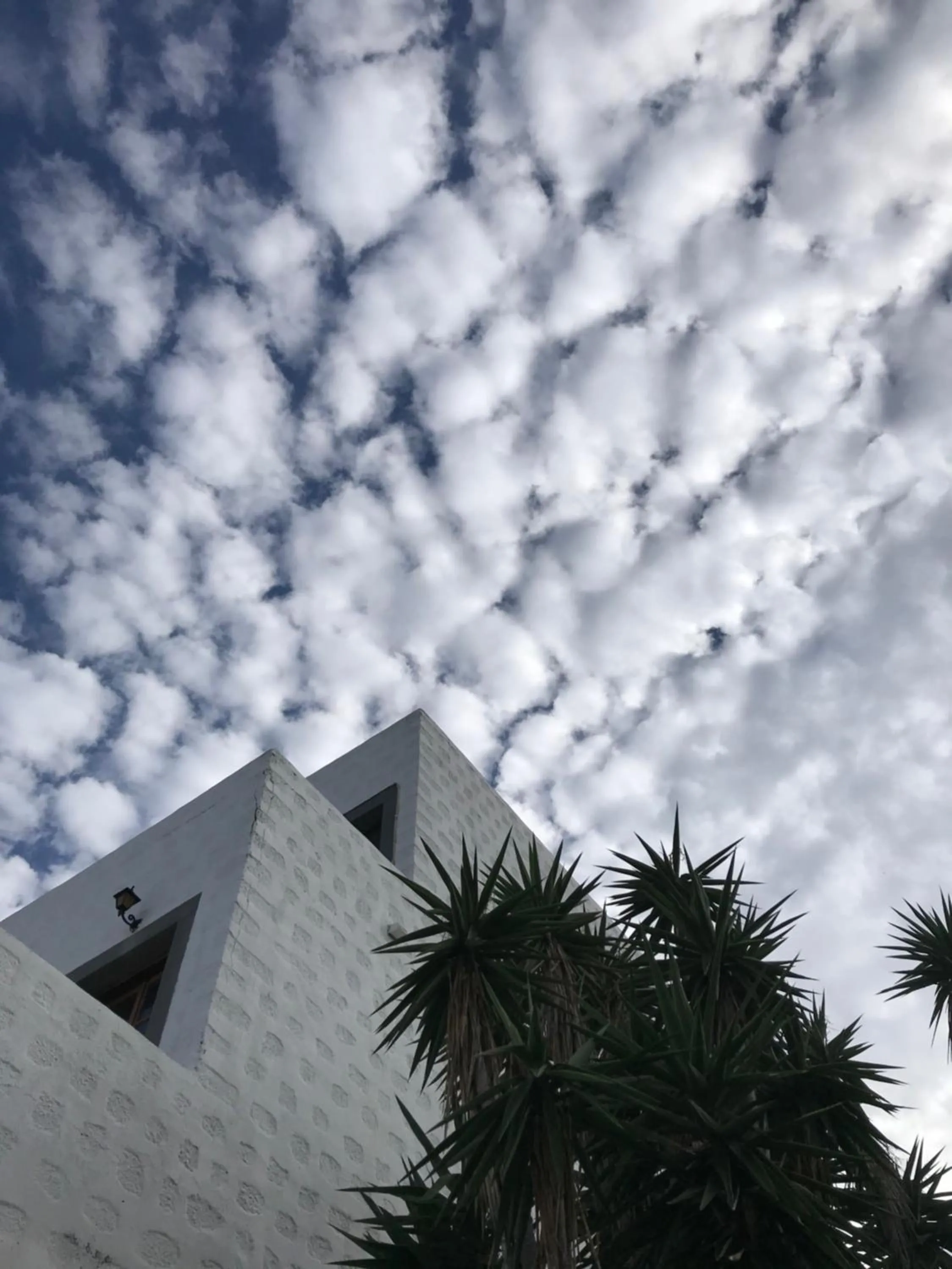 Property building in Anamar Patmos