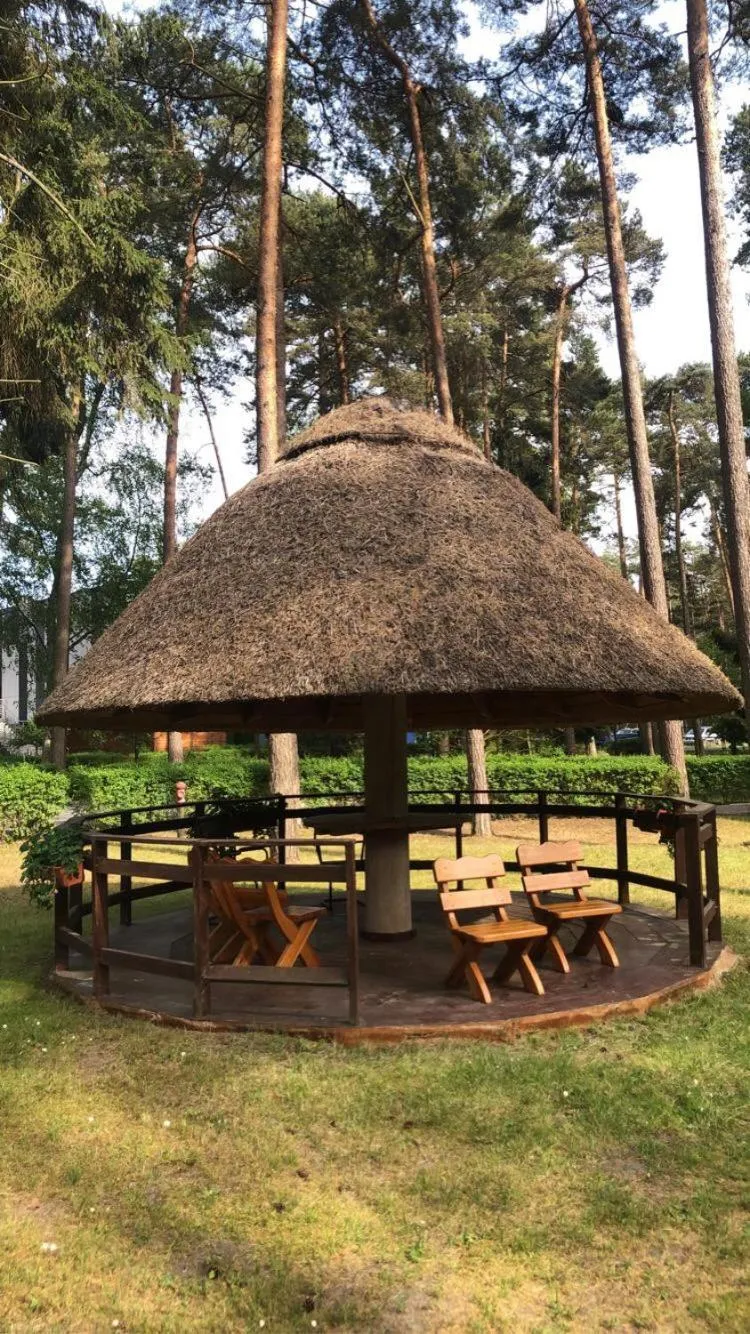 Garden in Ośrodek Wypoczynkowy Wielki Błękit