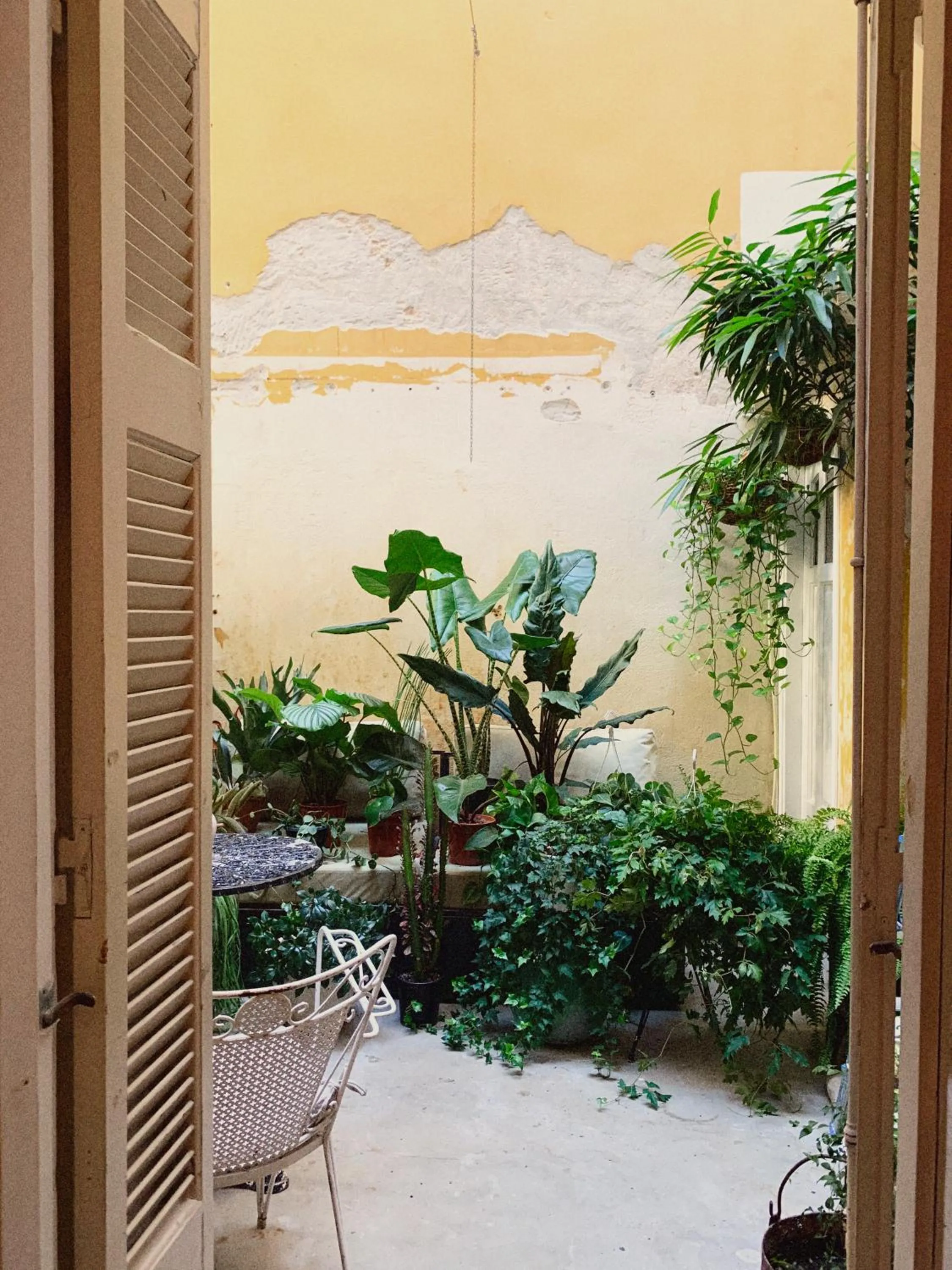 Garden in Shila Athens