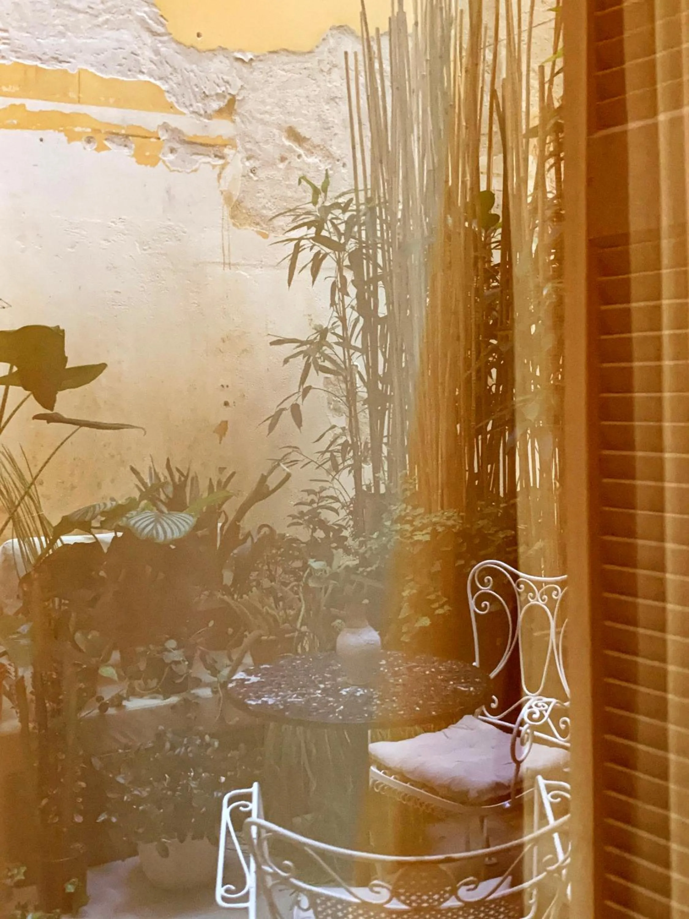 Garden in Shila Athens