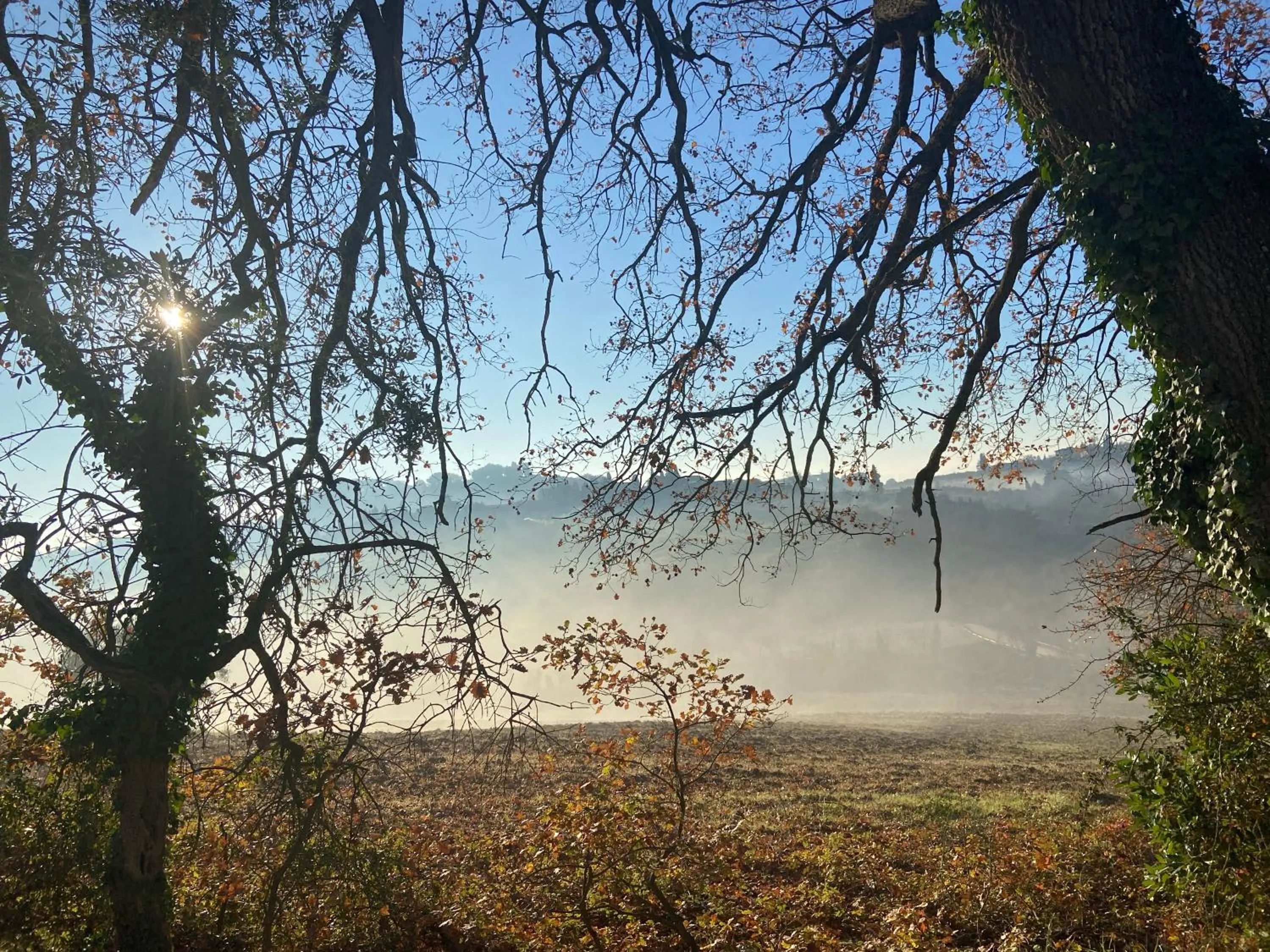 Natural landscape in CasaLeTolfe Residence