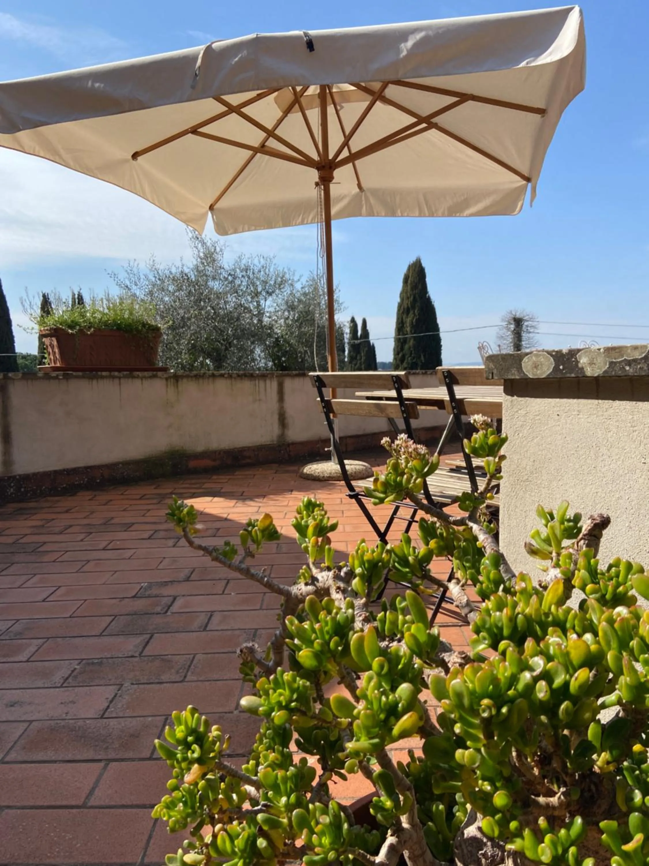 Patio in CasaLeTolfe Residence