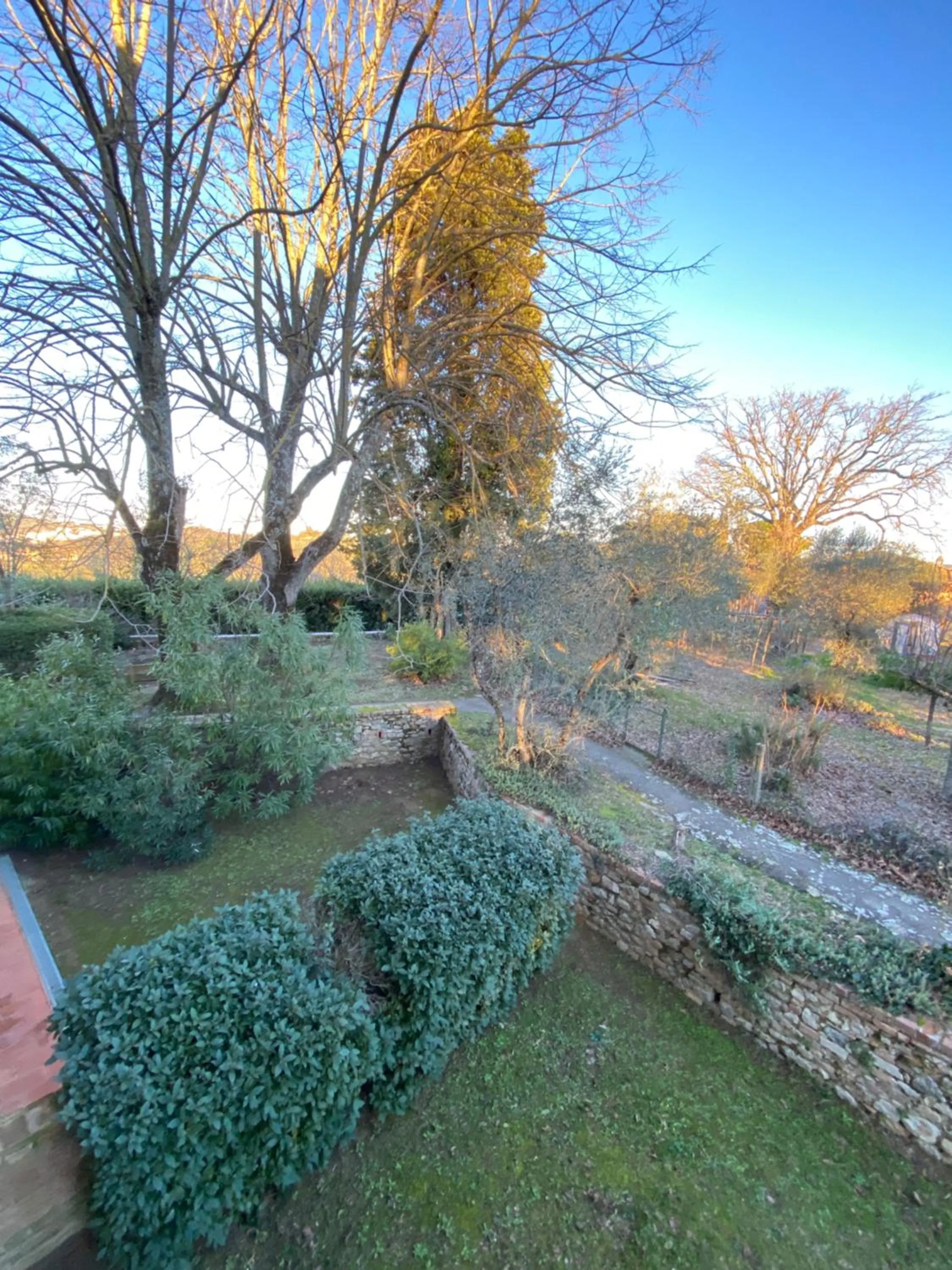 Garden in CasaLeTolfe Residence