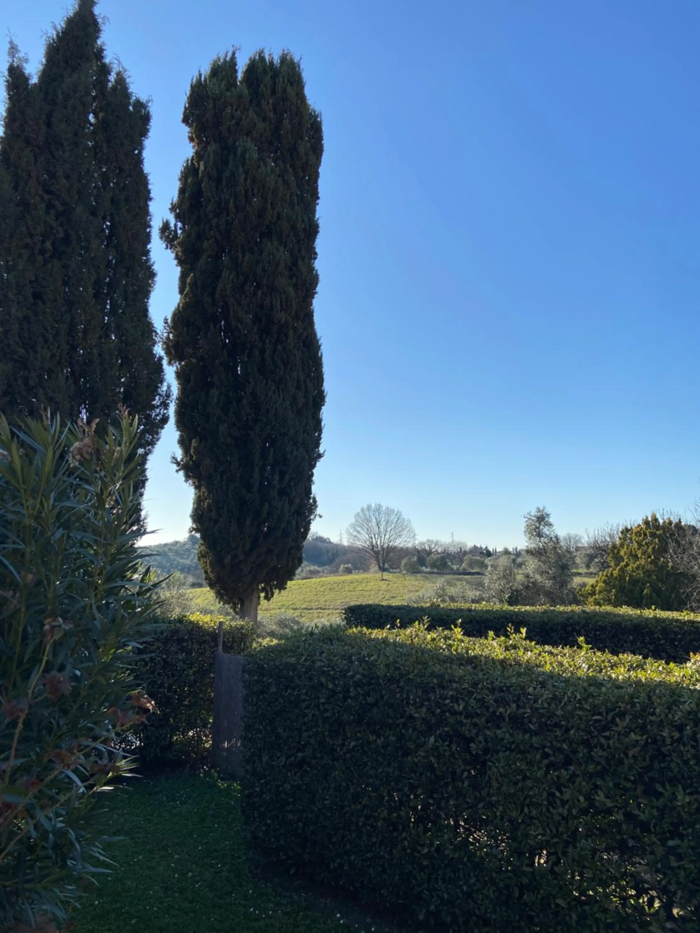 Day in CasaLeTolfe Residence