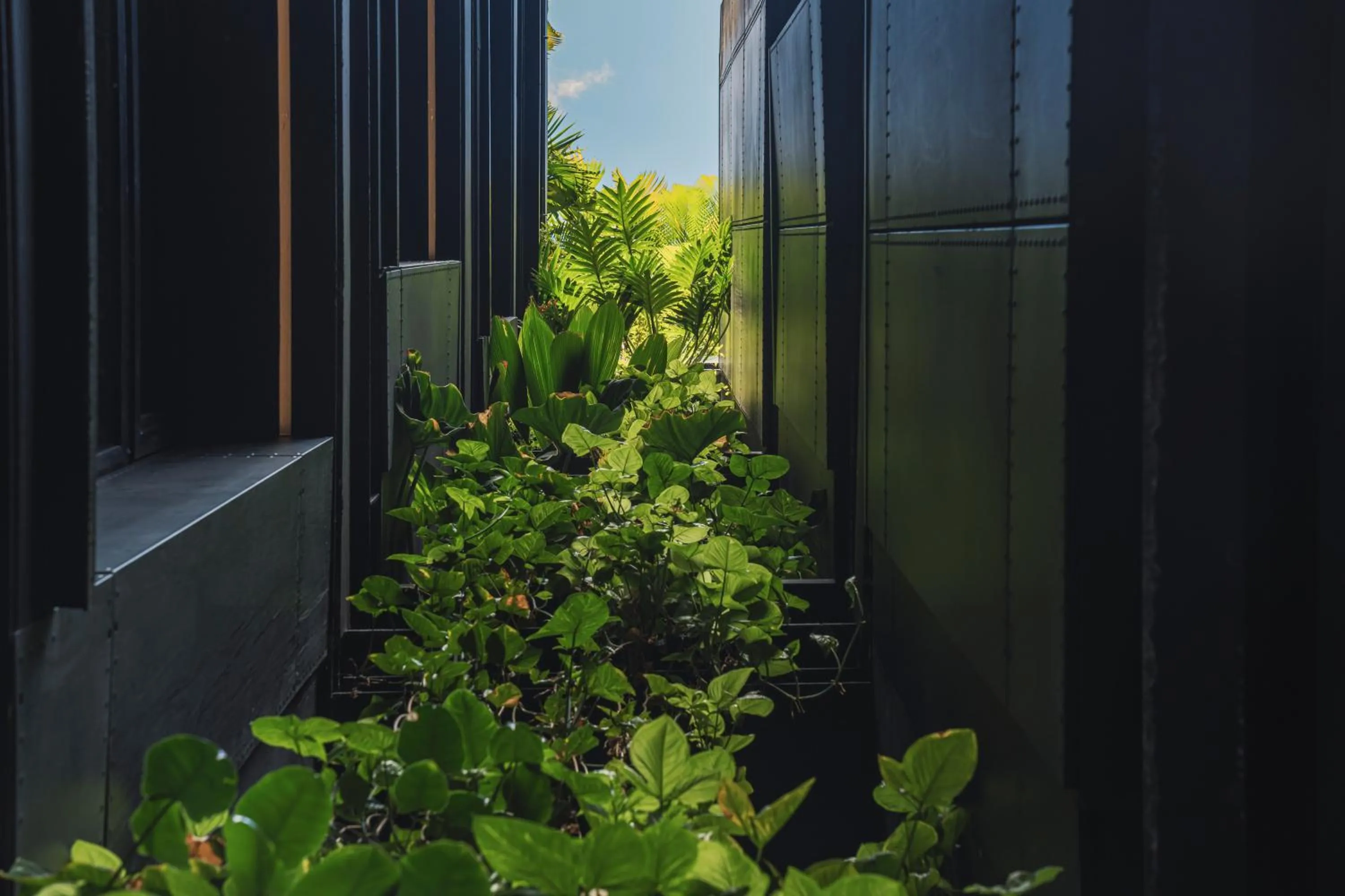 Garden in The Click Clack Hotel Medellín