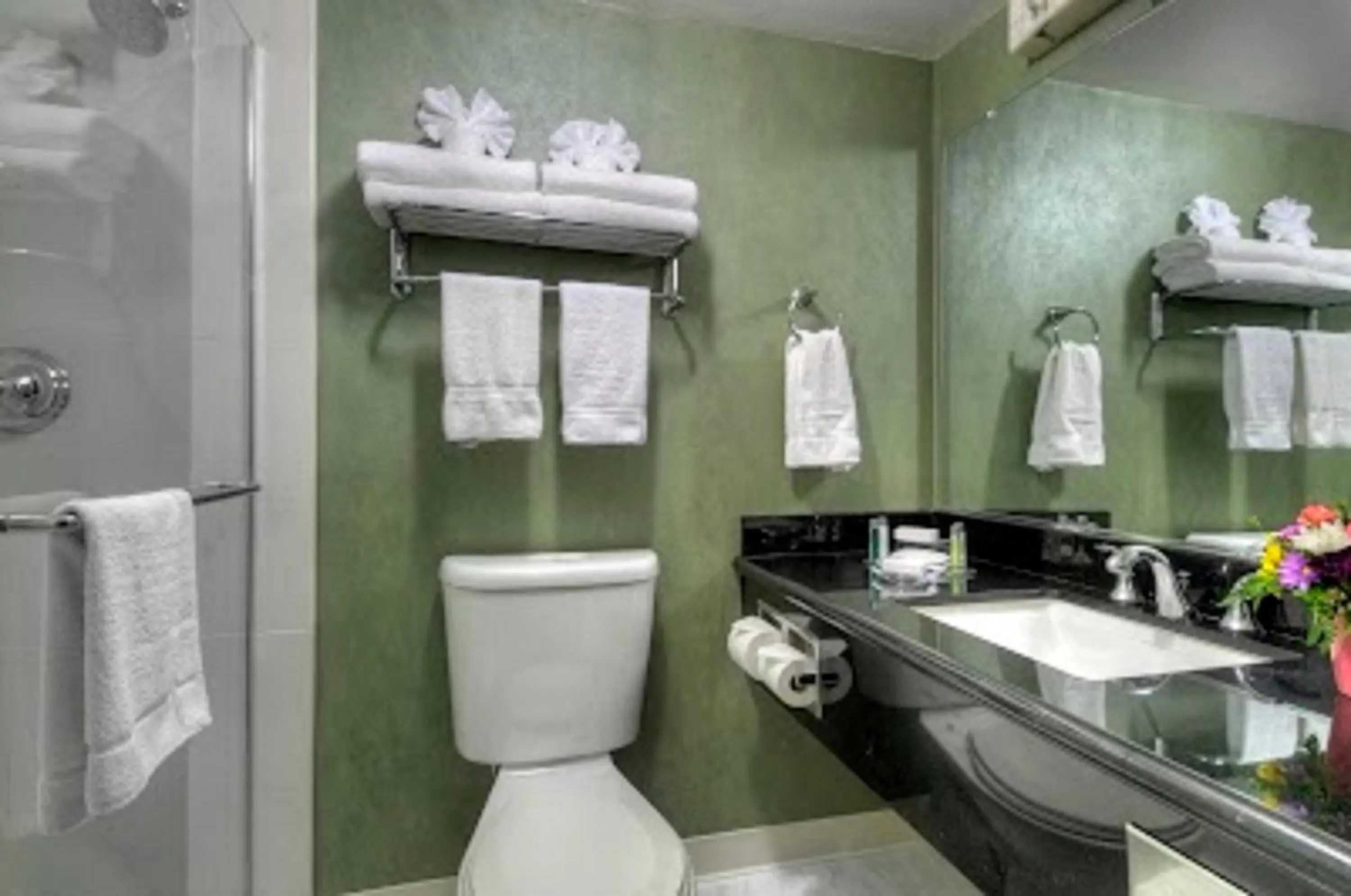 Toilet in Maple Tree Inn