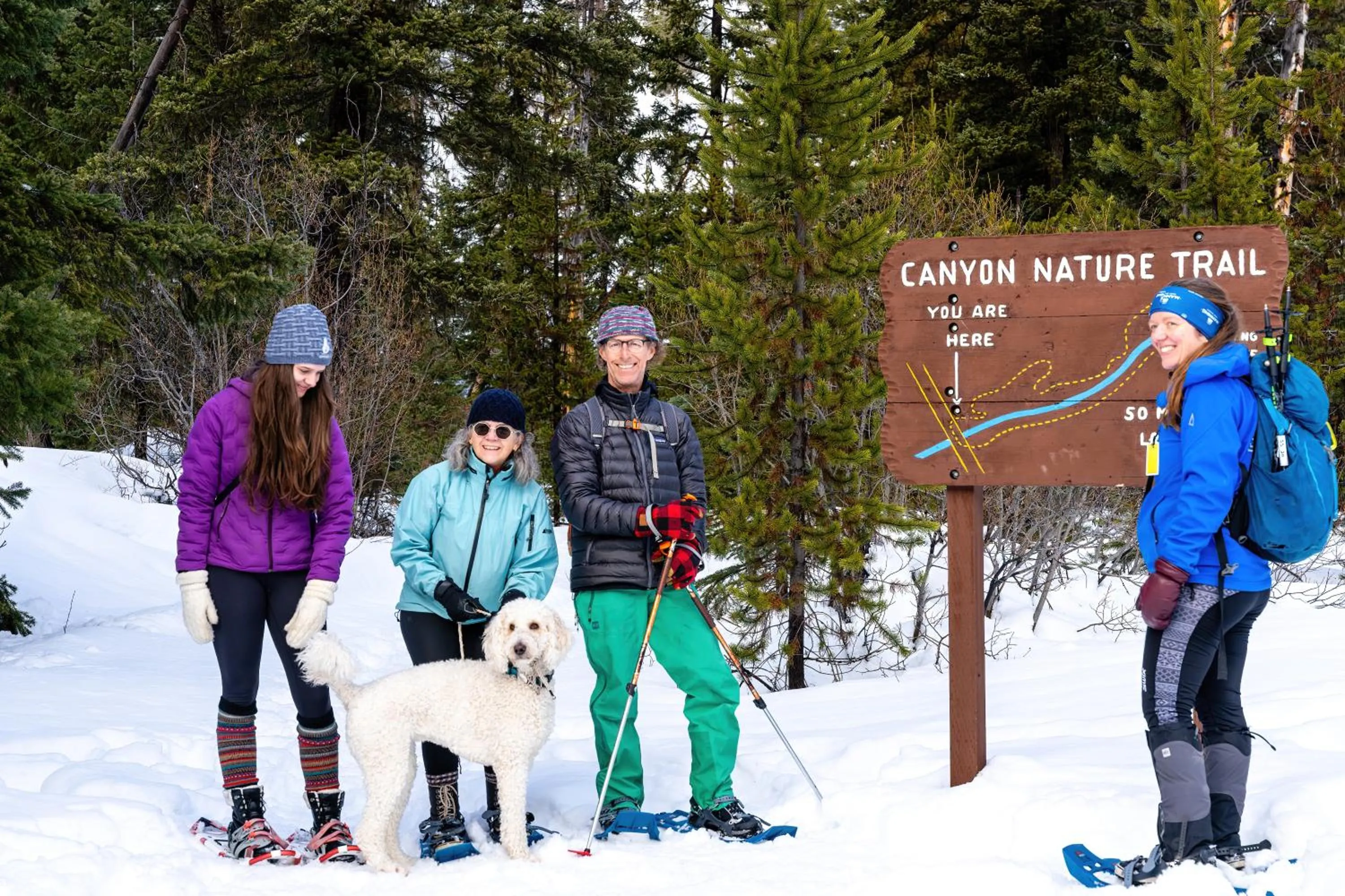 Natural landscape in Manning Park Resort