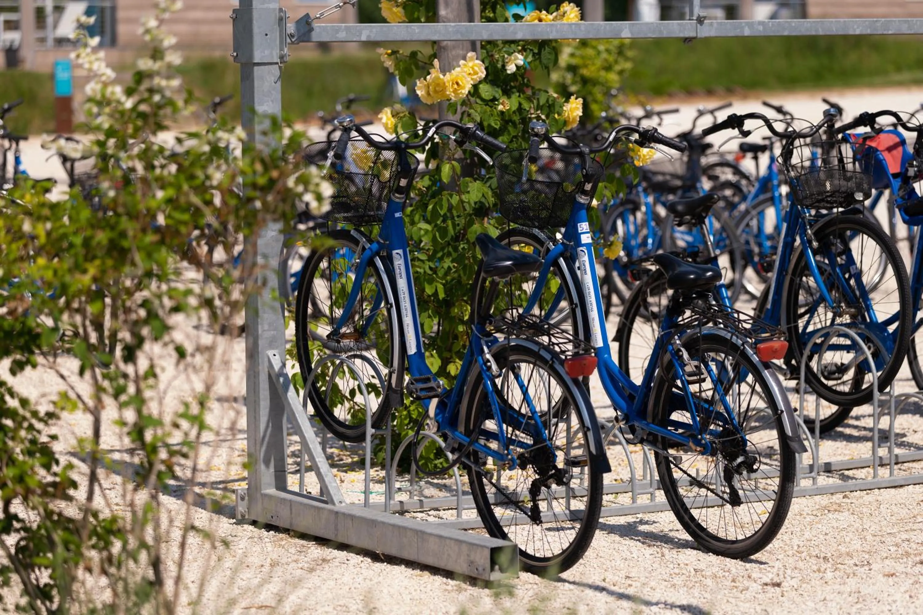 Cycling in Marina Azzurra Resort