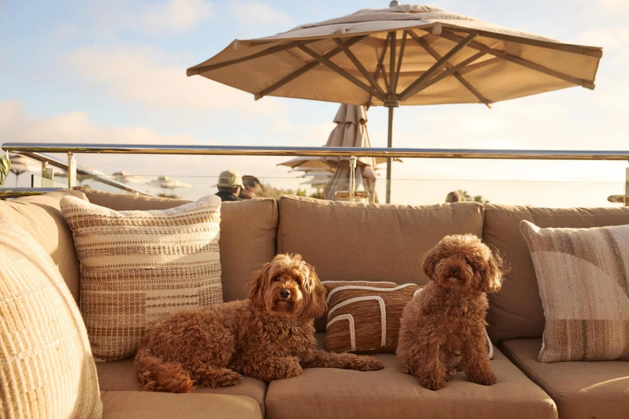 Restaurant/places to eat in Hotel Erwin Venice Beach