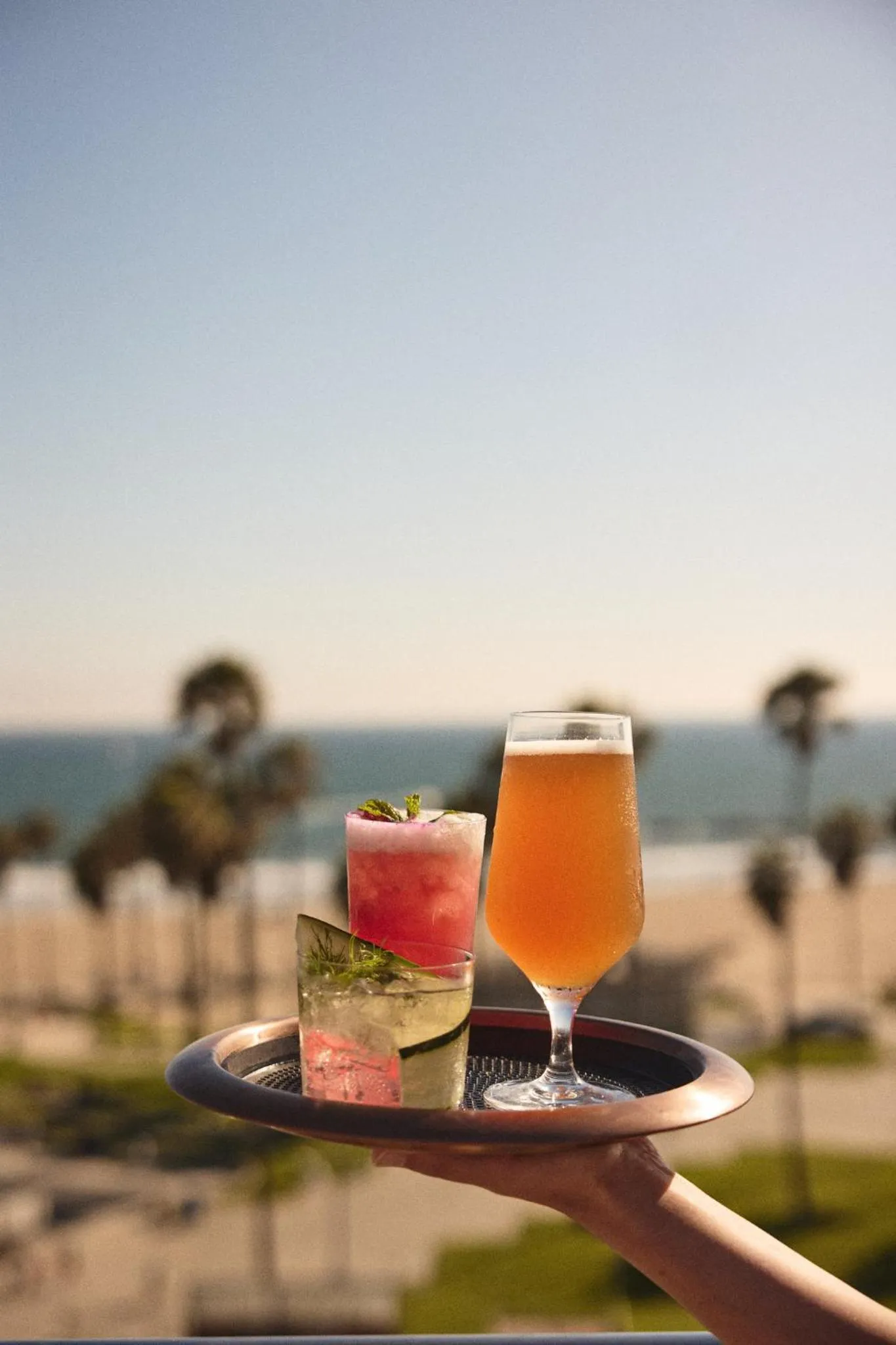 Restaurant/places to eat in Hotel Erwin Venice Beach