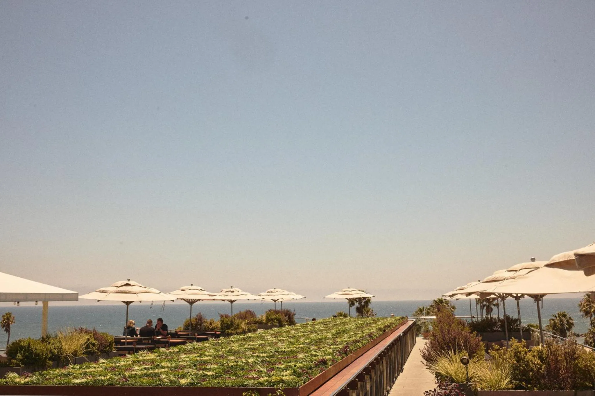 Restaurant/places to eat in Hotel Erwin Venice Beach