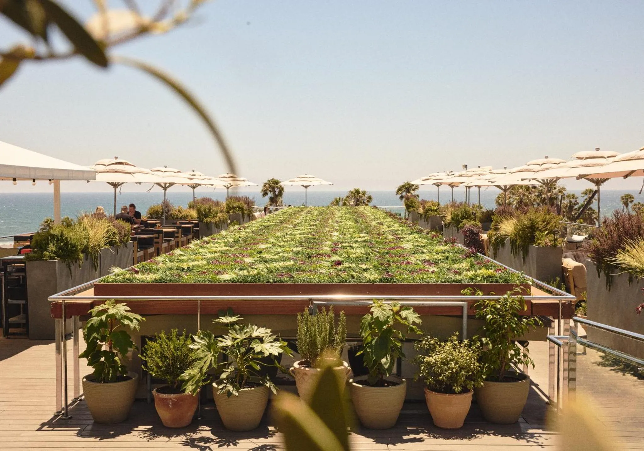 Restaurant/places to eat in Hotel Erwin Venice Beach