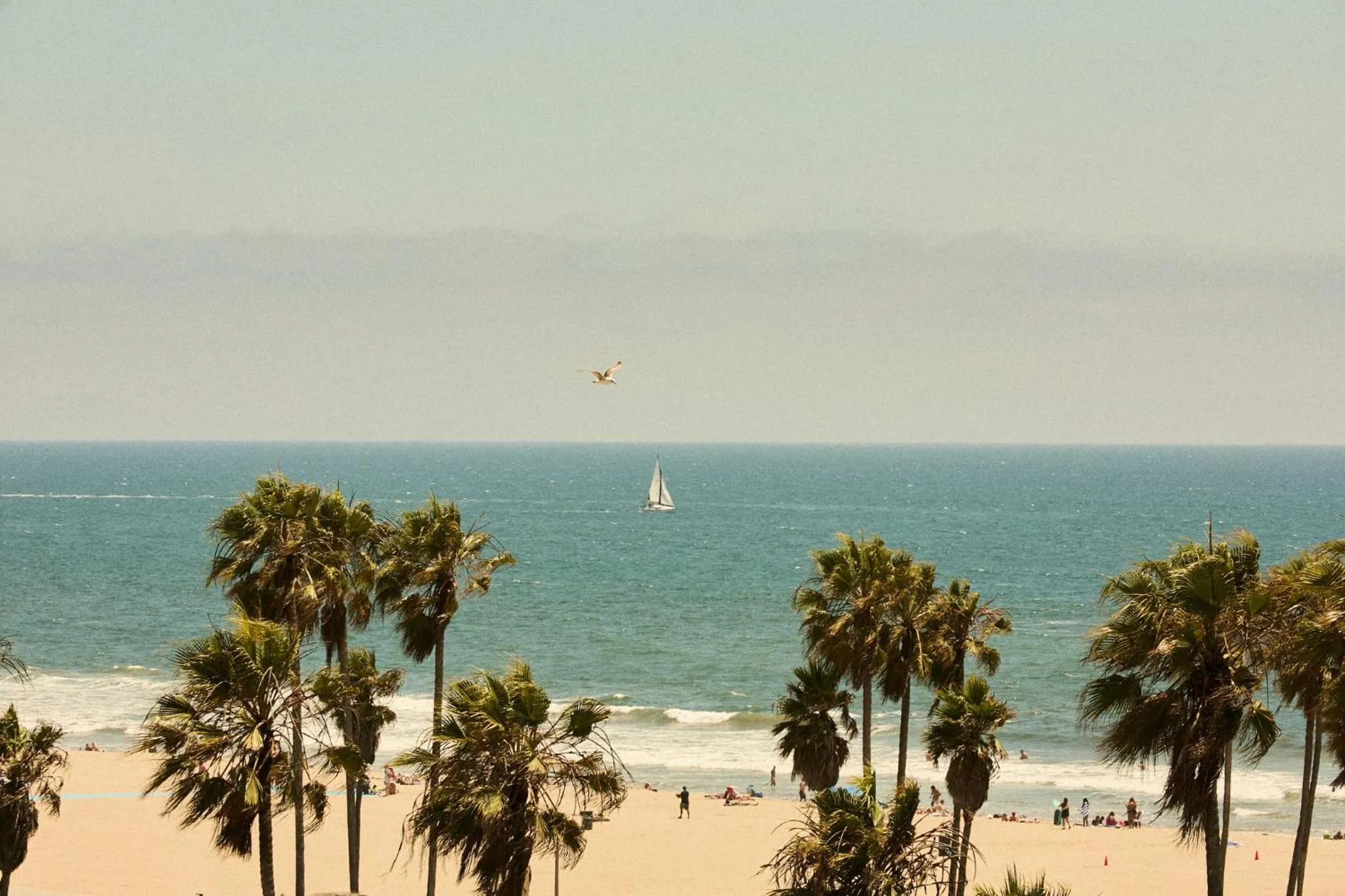 Restaurant/places to eat in Hotel Erwin Venice Beach