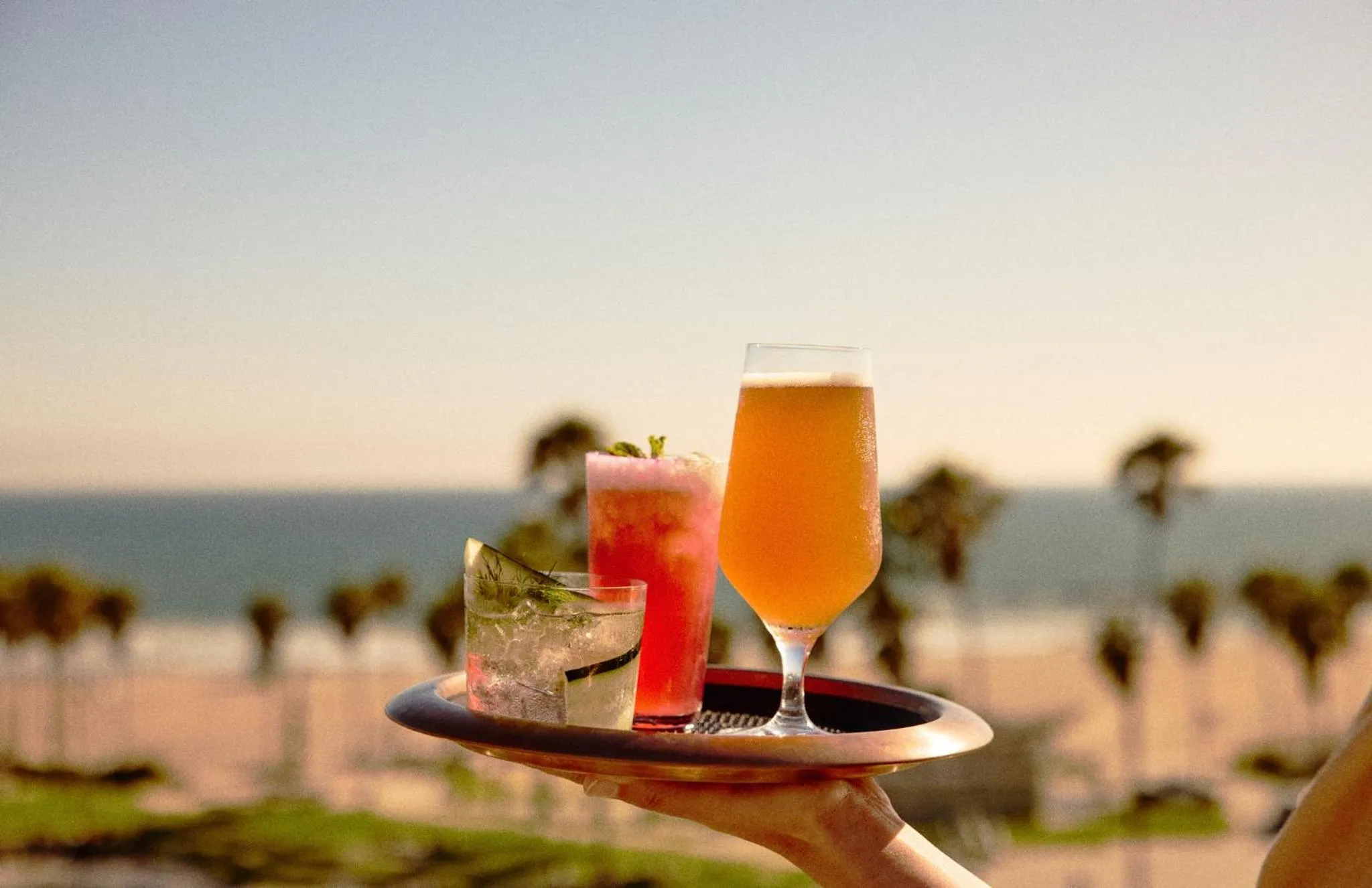 Restaurant/places to eat in Hotel Erwin Venice Beach