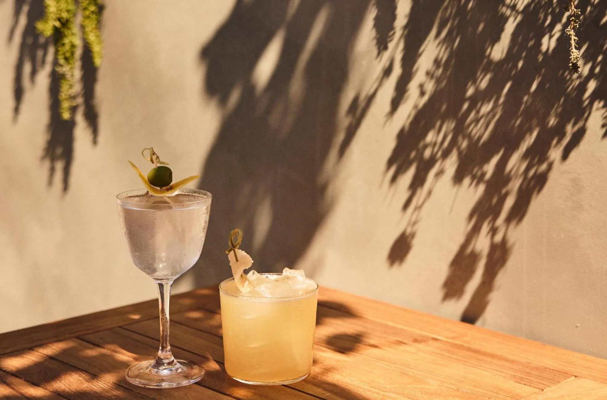 Restaurant/places to eat in Hotel Erwin Venice Beach