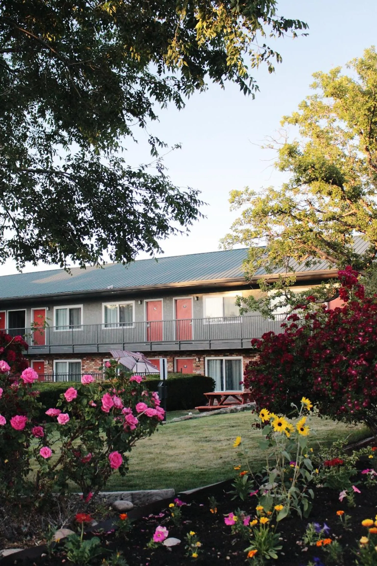 Property building in Days Inn by Wyndham Show Low