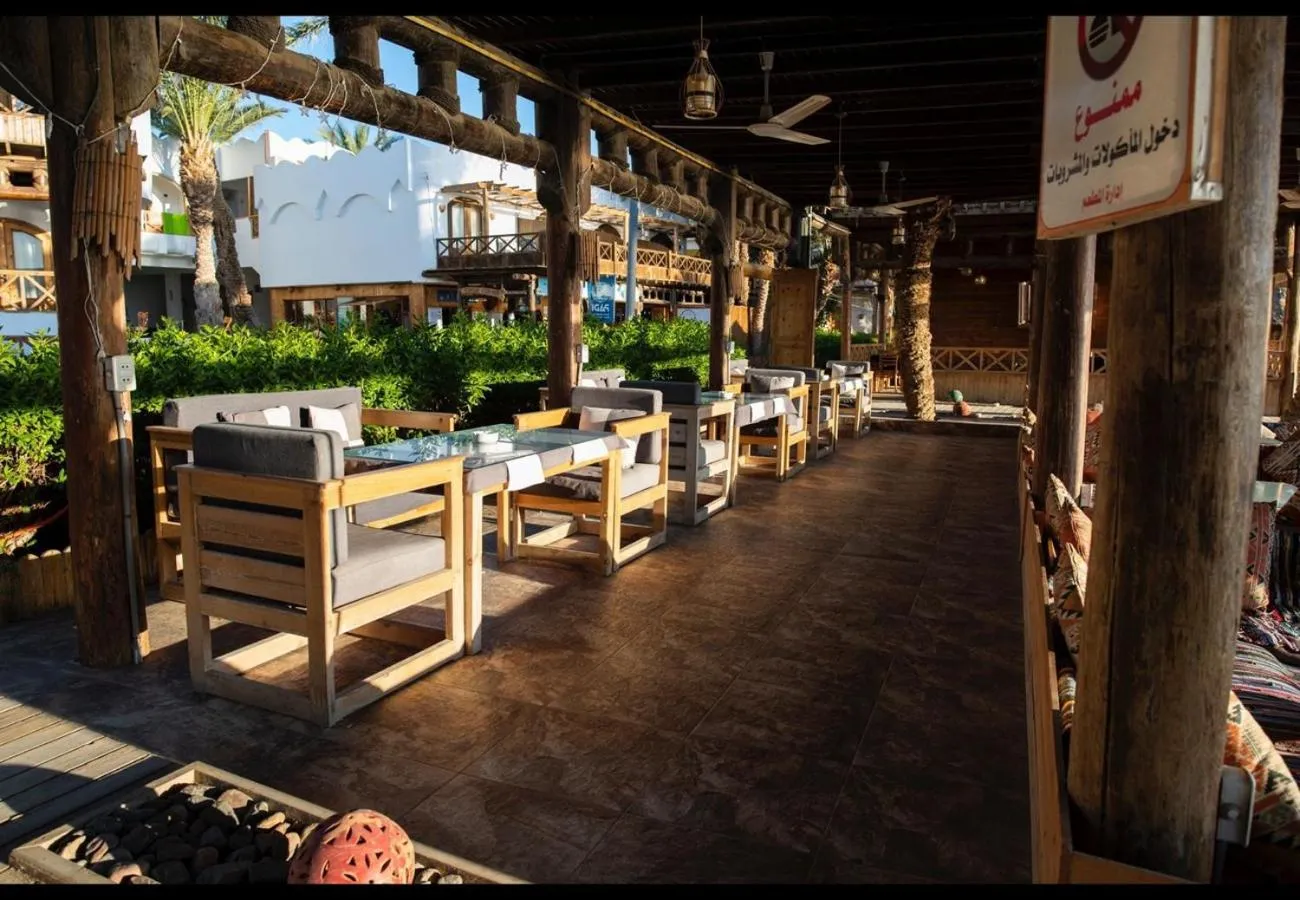 Penguin Village Dahab