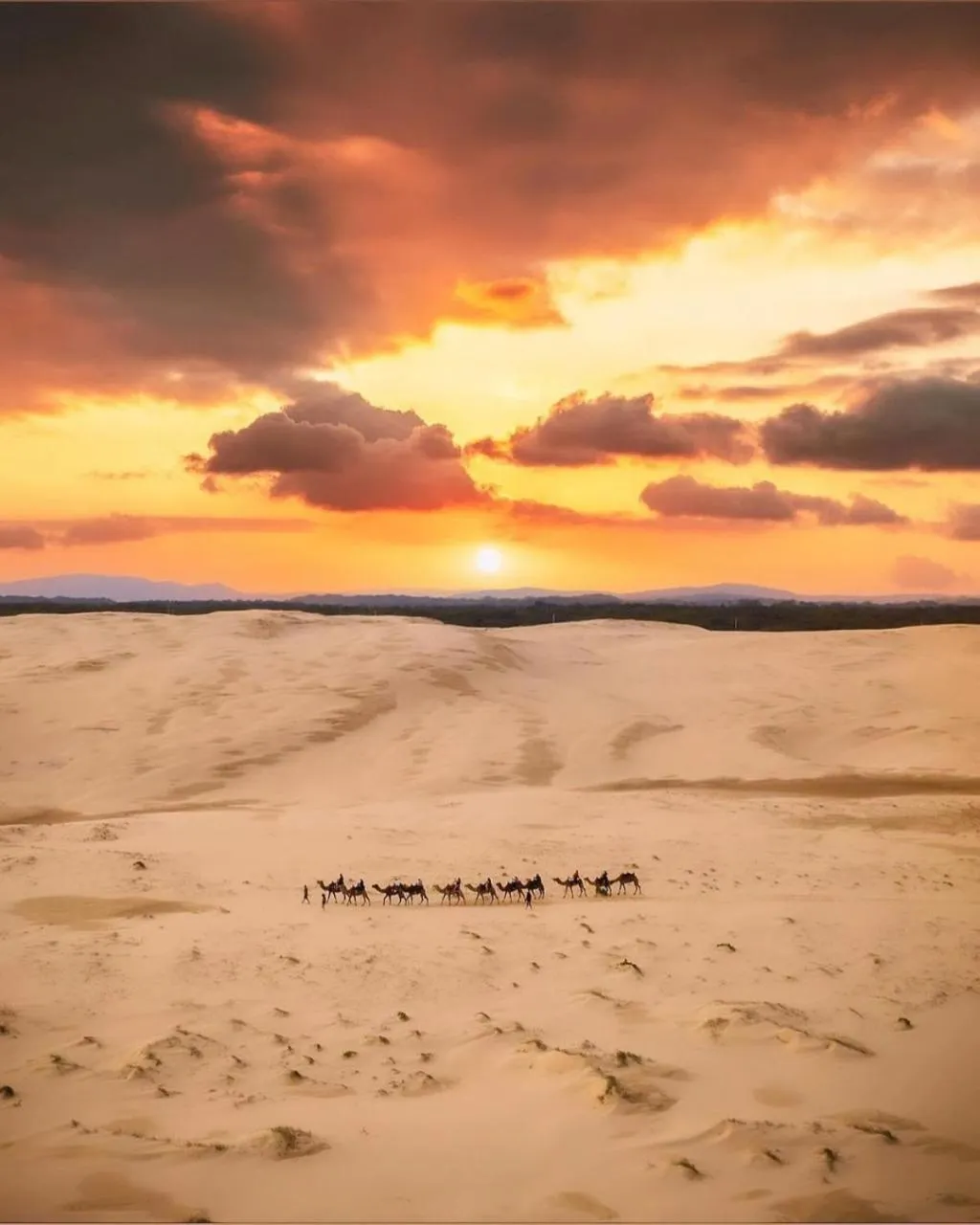 Natural landscape in The Retreat Port Stephens