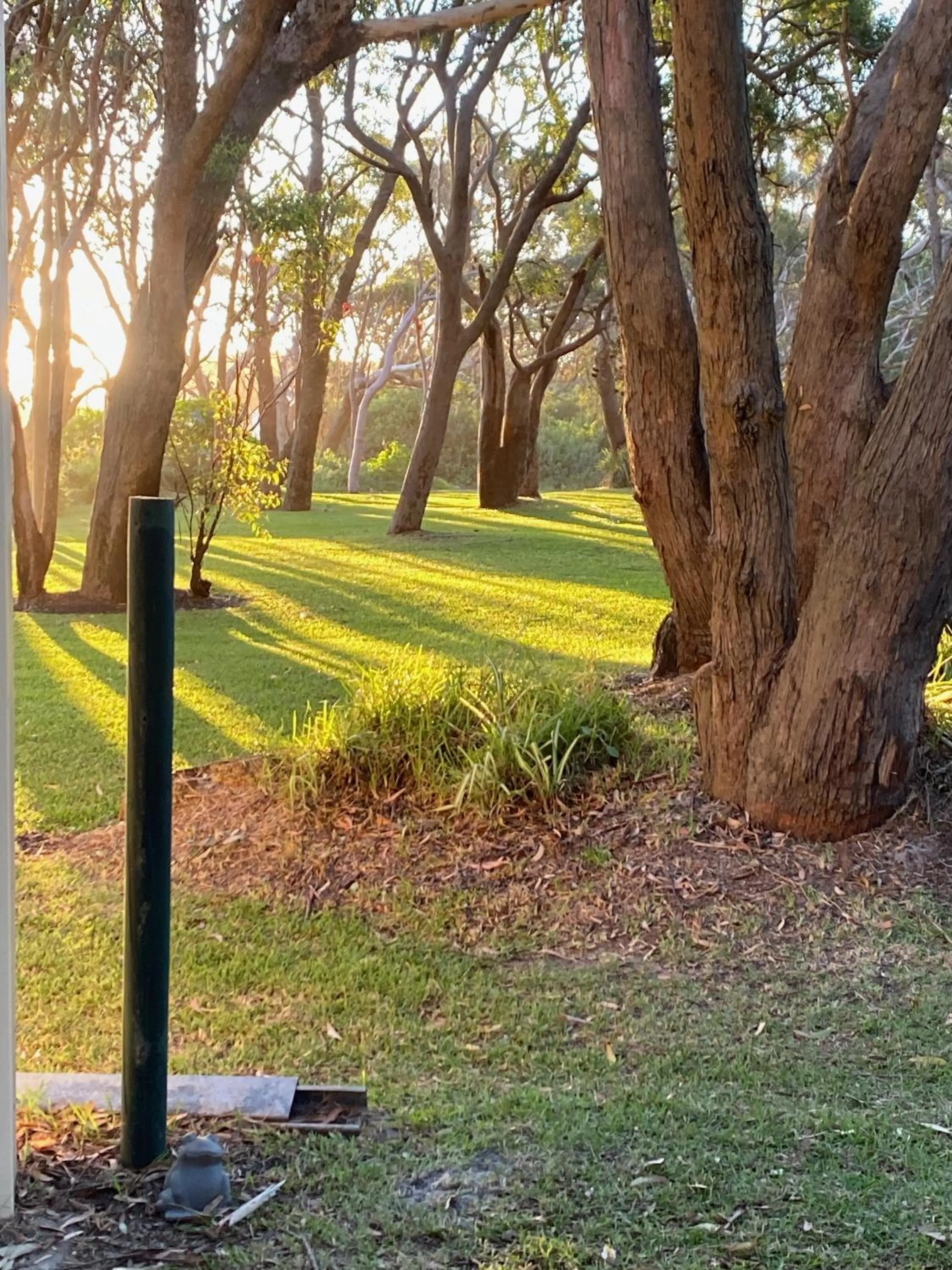 Natural landscape in The Retreat Port Stephens