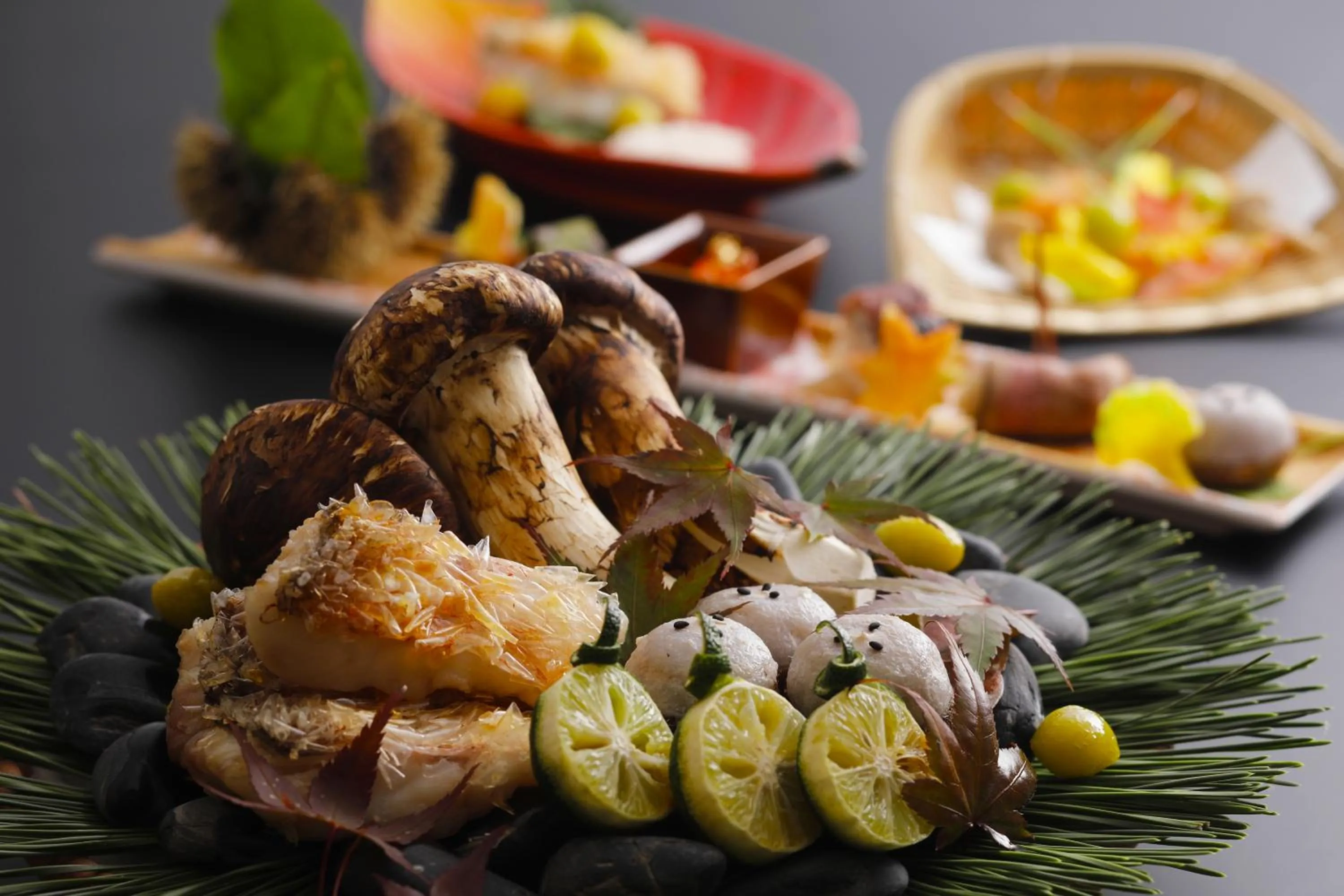 Dinner in Ryokan Sanga