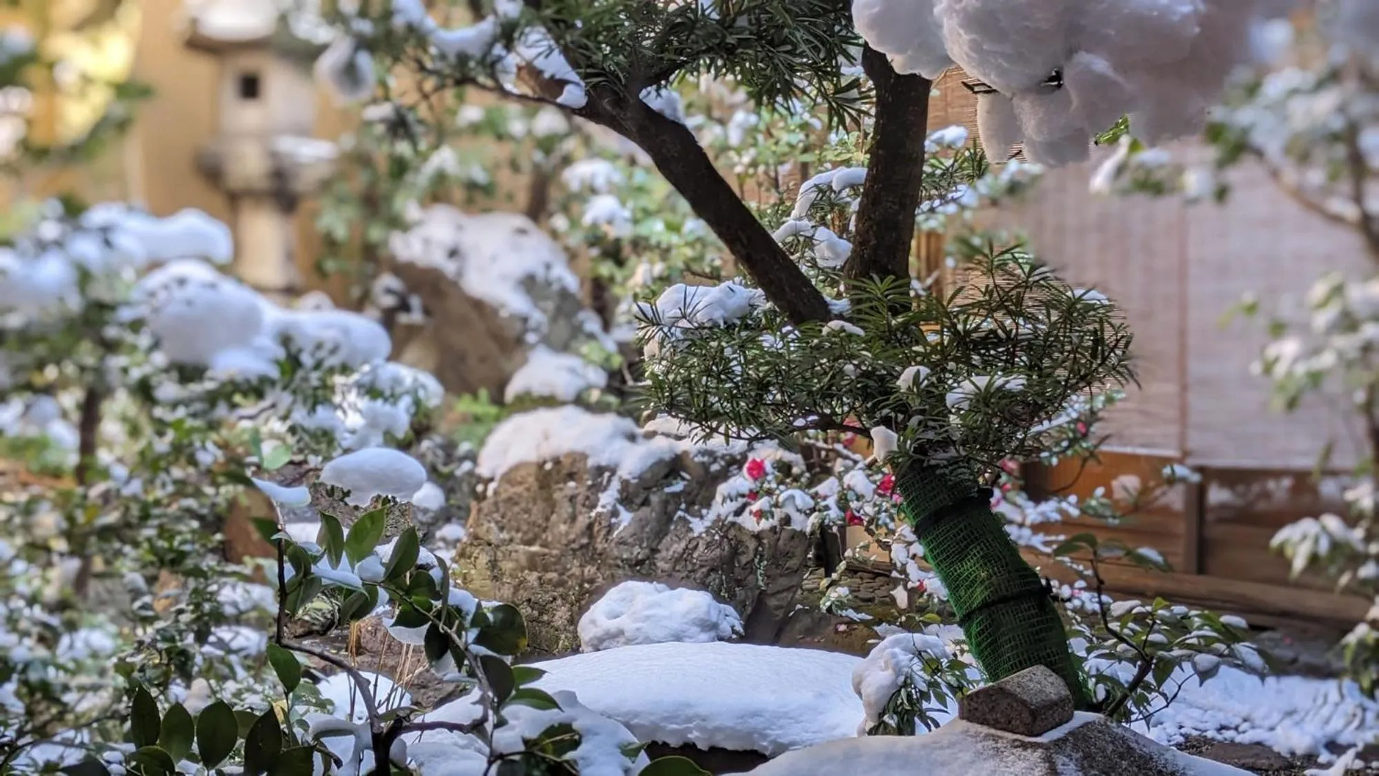 Garden in Ryokan Sanga