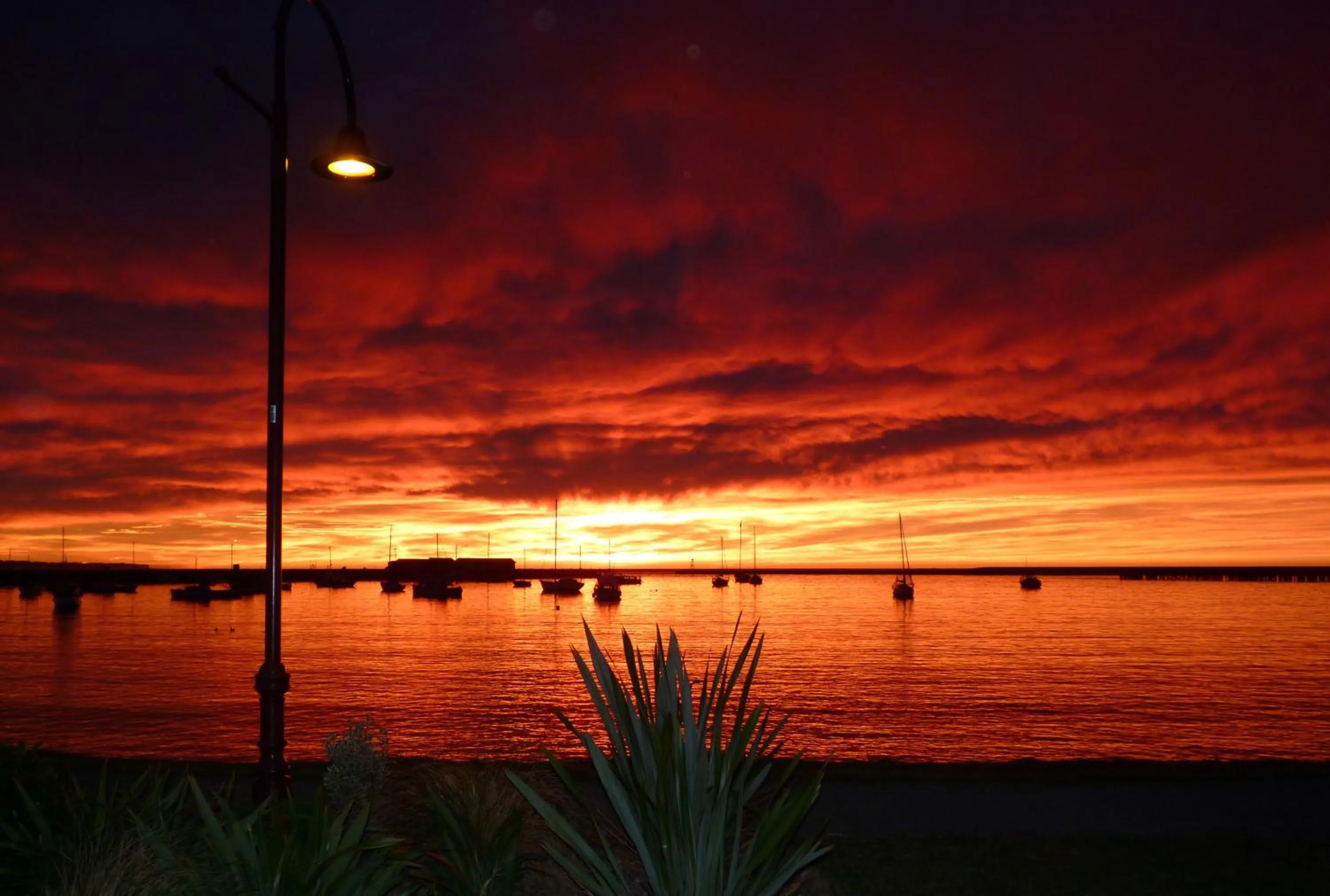Natural landscape in Alpine Motel