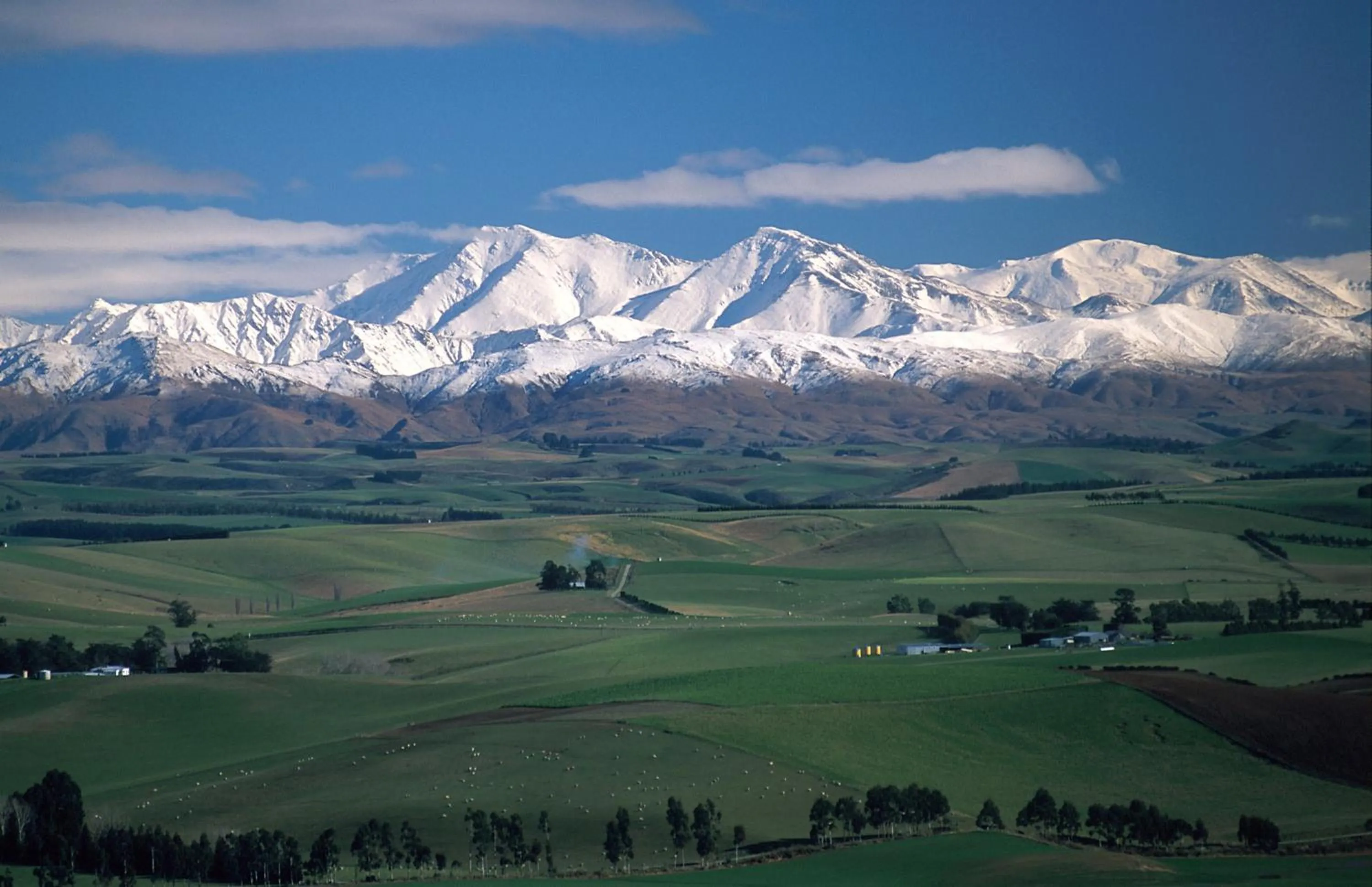 Area and facilities in Alpine Motel