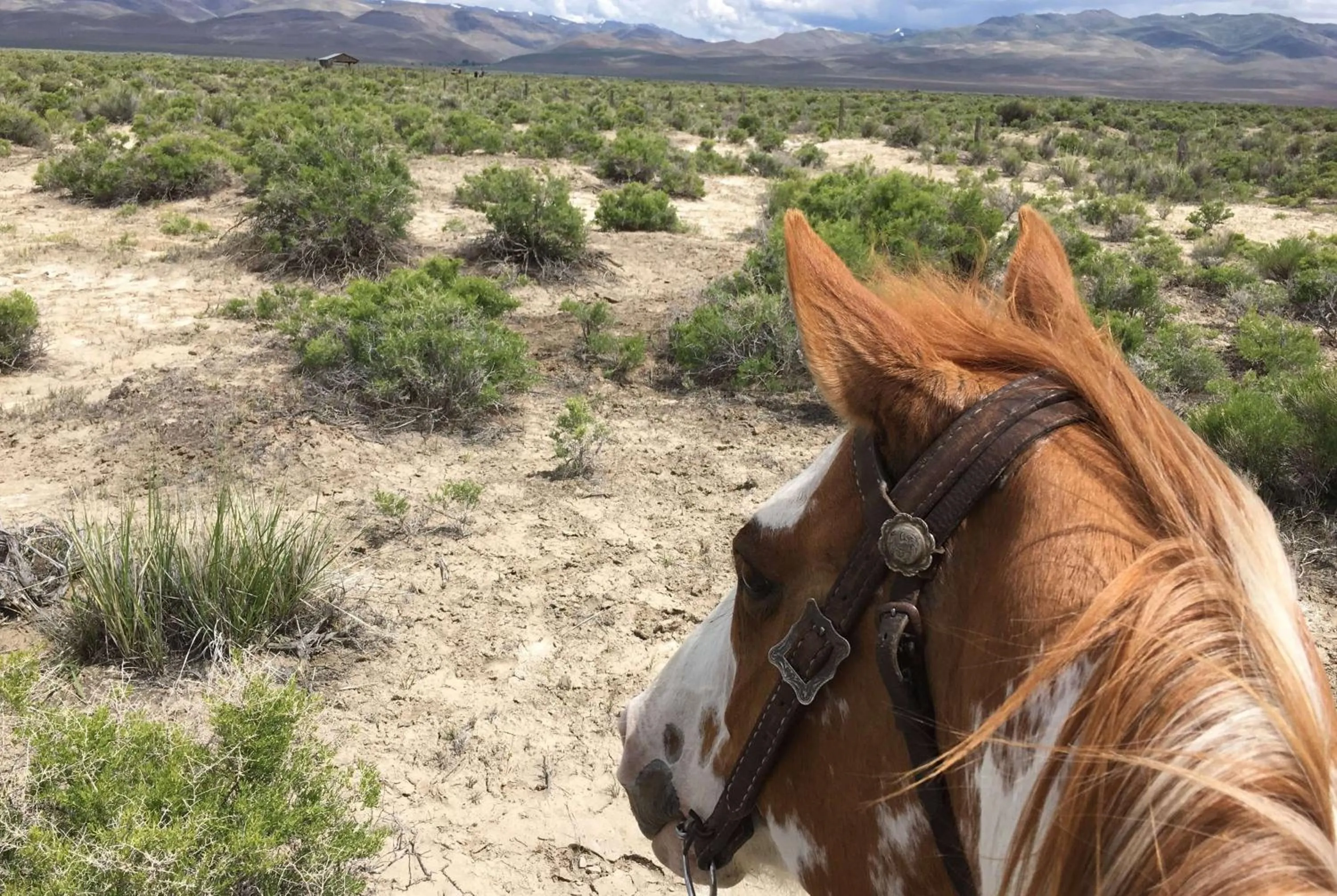 Kitchen or kitchenette in Westward Look Wyndham Grand Resort & Spa