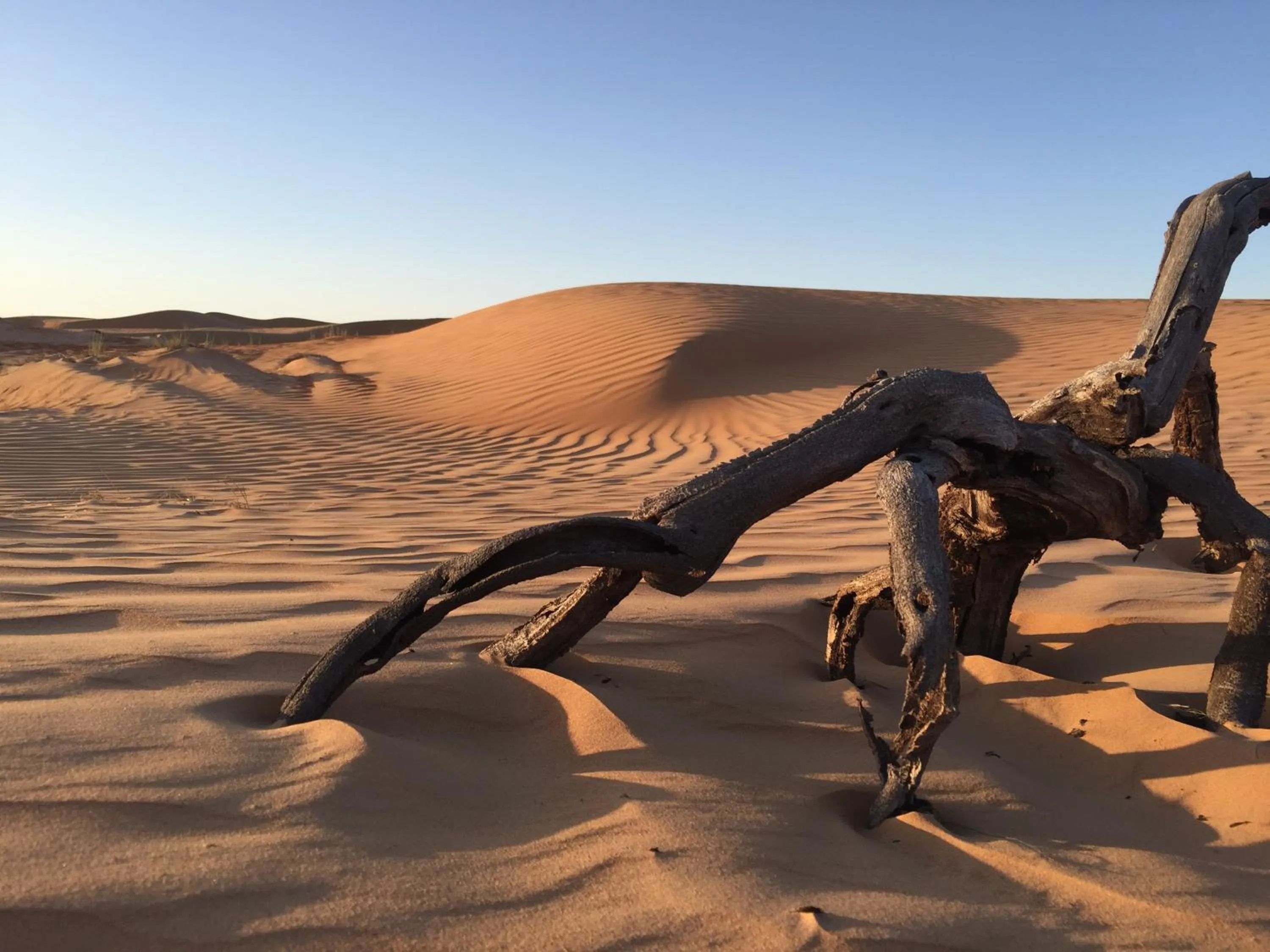 Nearby landmark in Oriental Nights Rest House