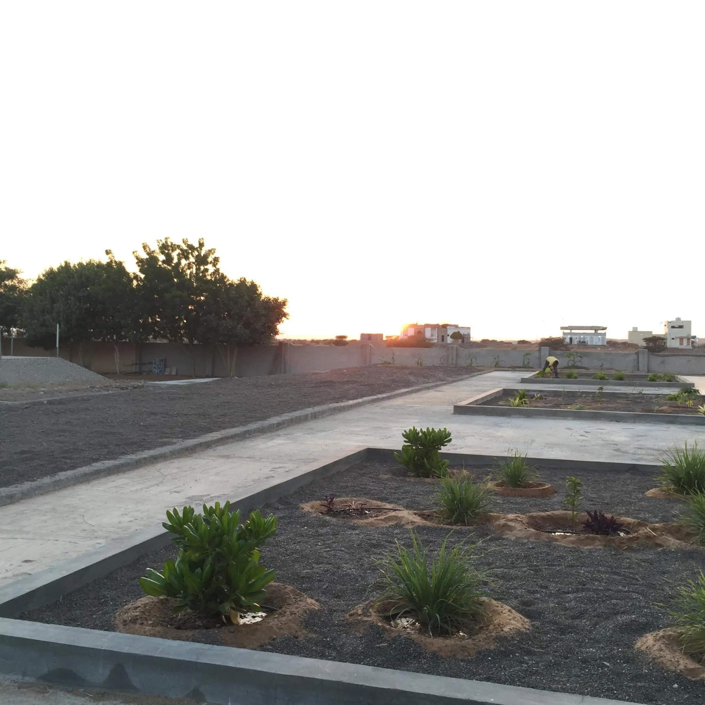 Garden in Oriental Nights Rest House