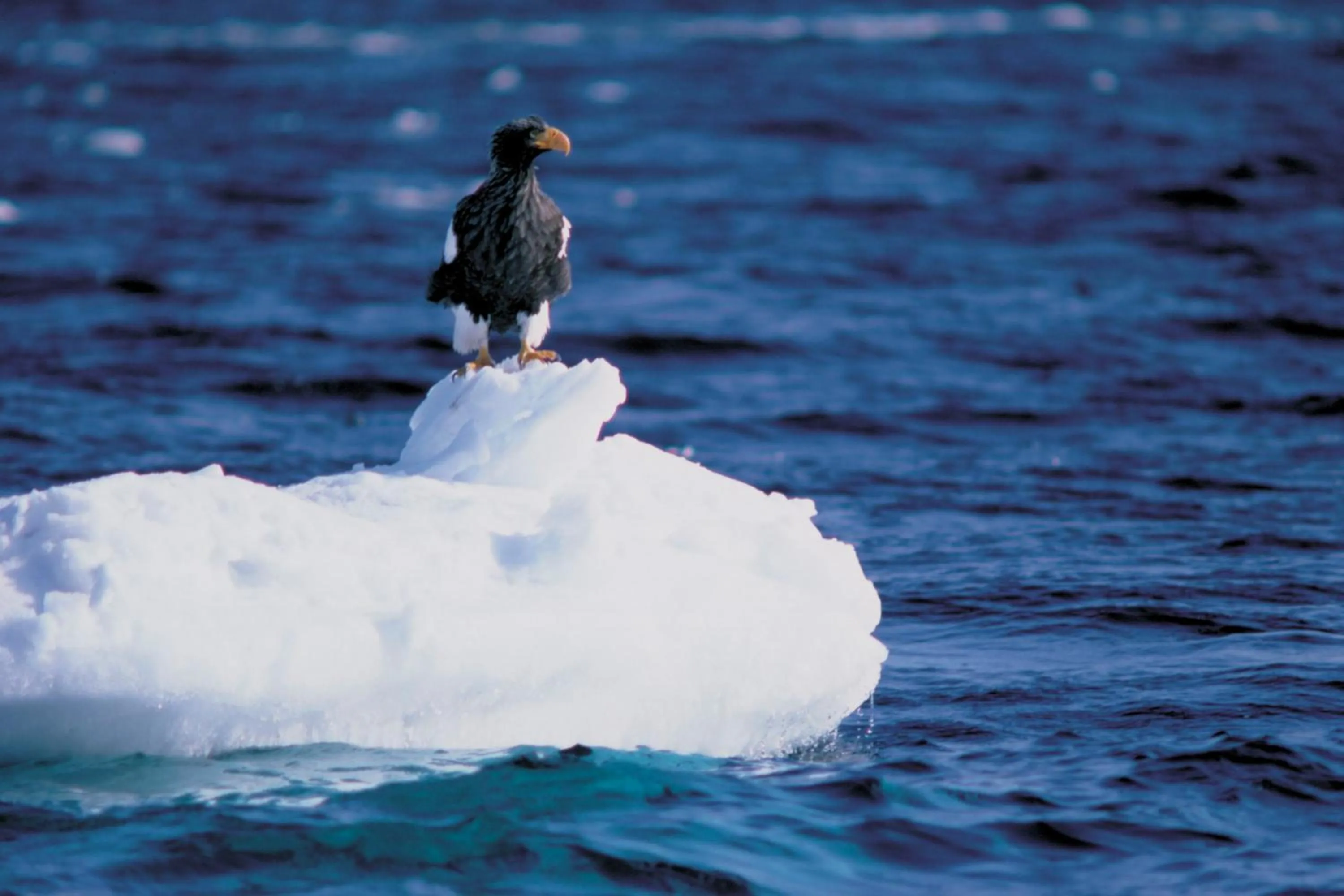 Natural landscape in Shiretoko Noble Hotel
