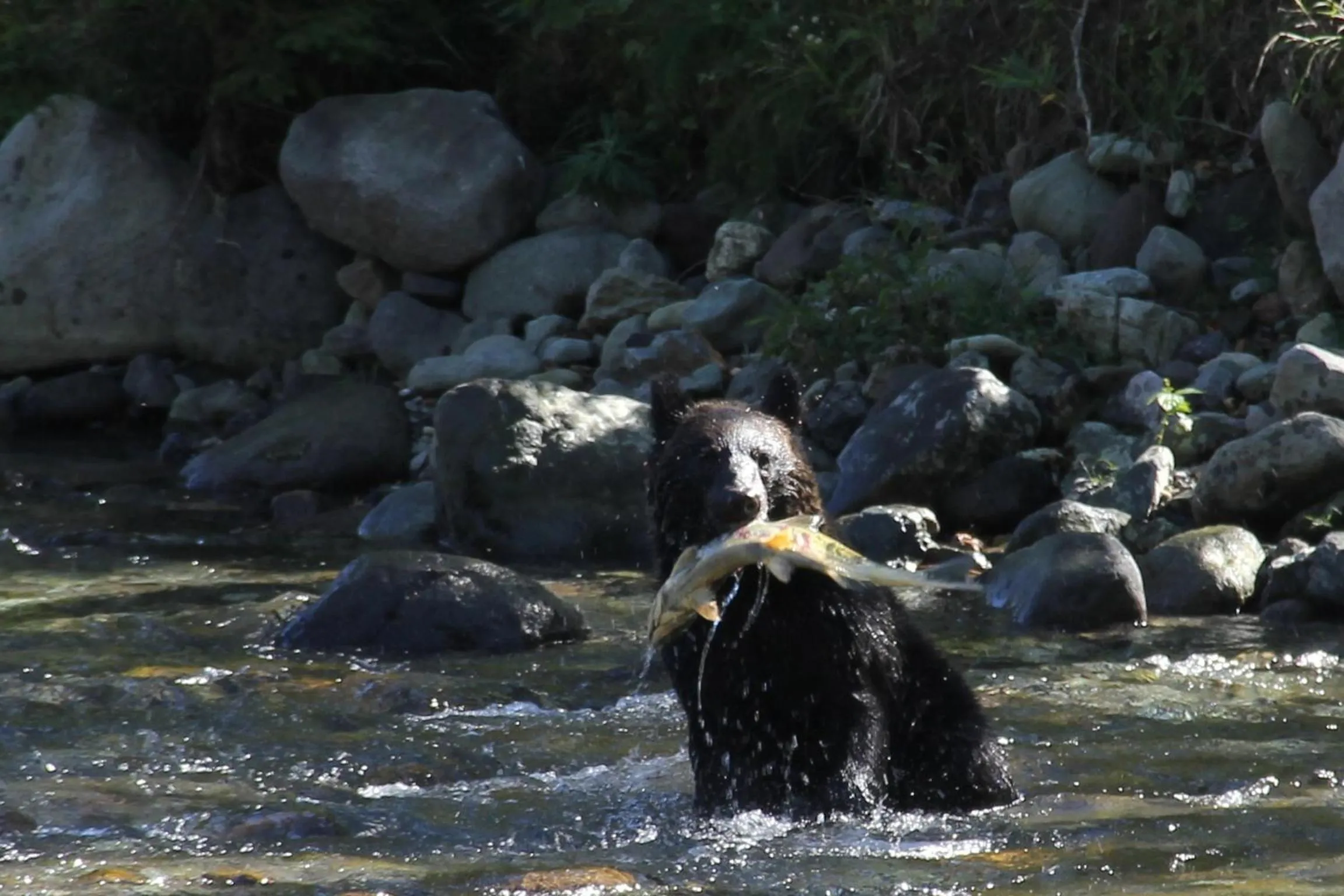 Natural landscape in Shiretoko Noble Hotel