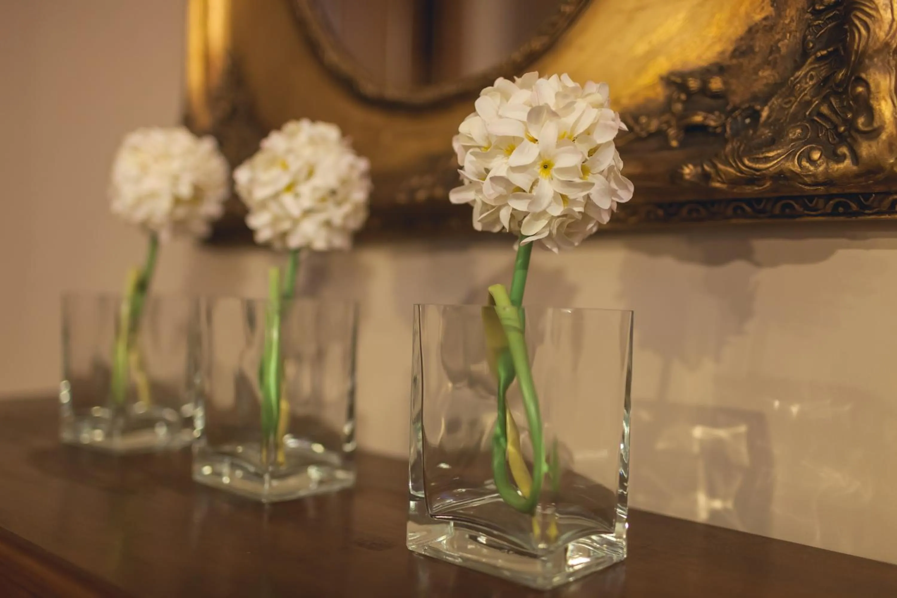 Lobby or reception in Hotel Hc Zoom