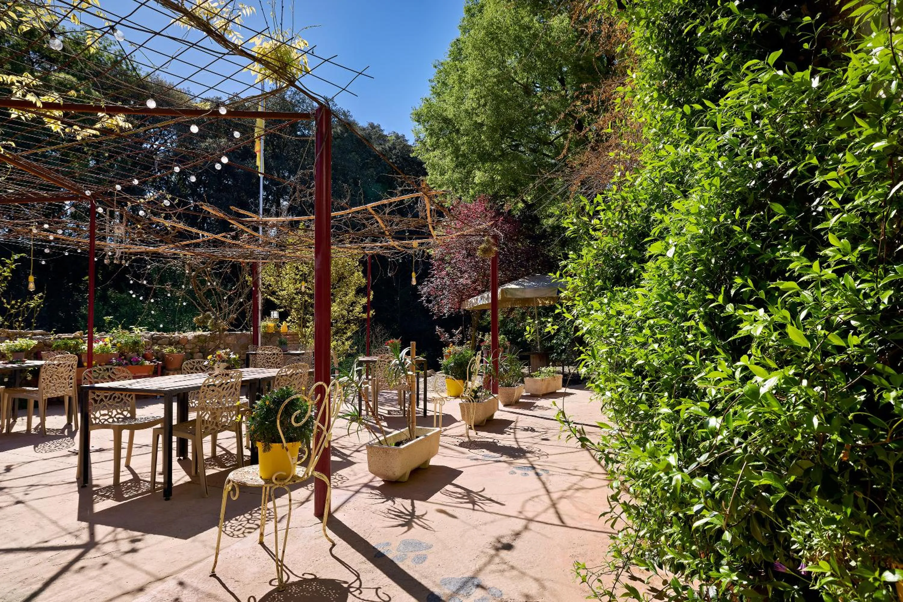 Garden in Mas Torrencito Pet Friendly