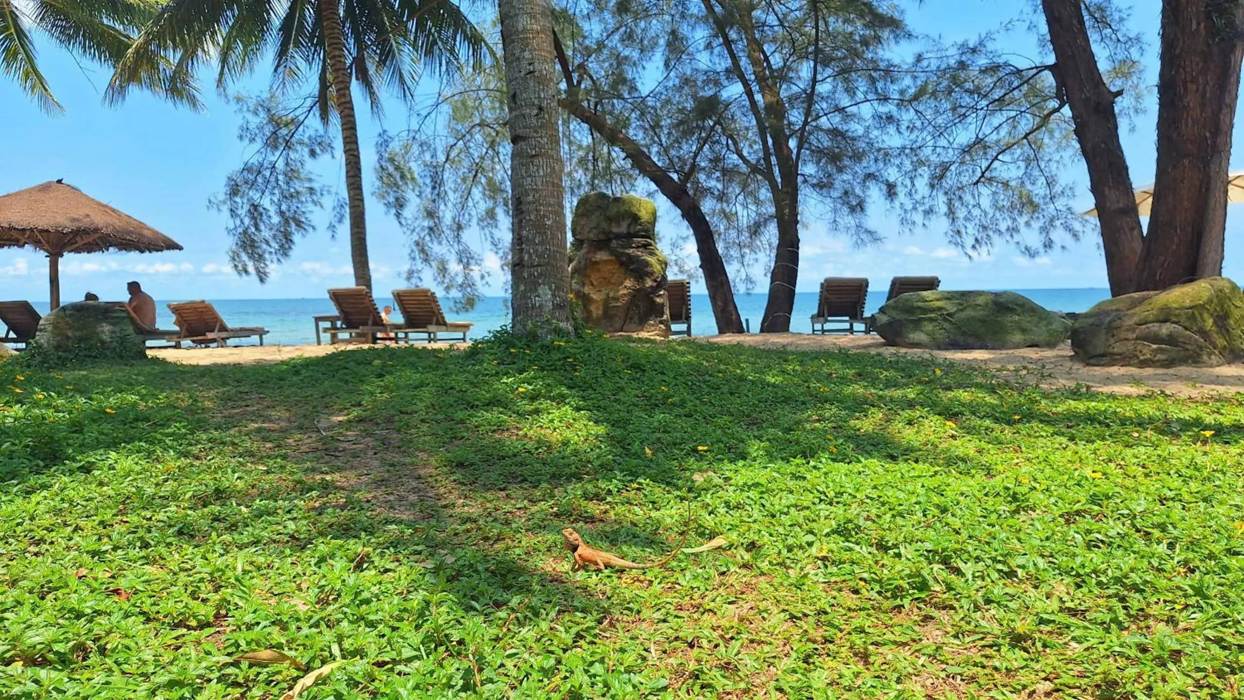 Garden in Ancarine Beach Resort