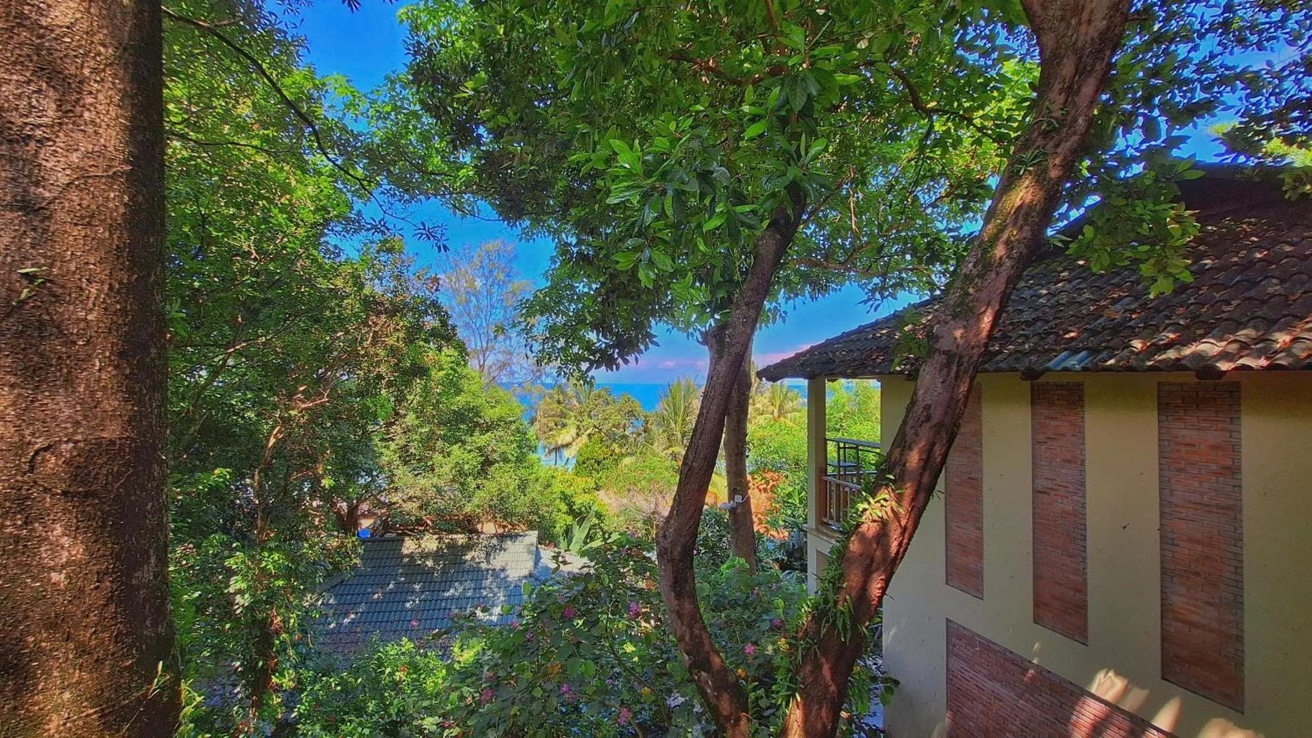 Natural landscape in Ancarine Beach Resort