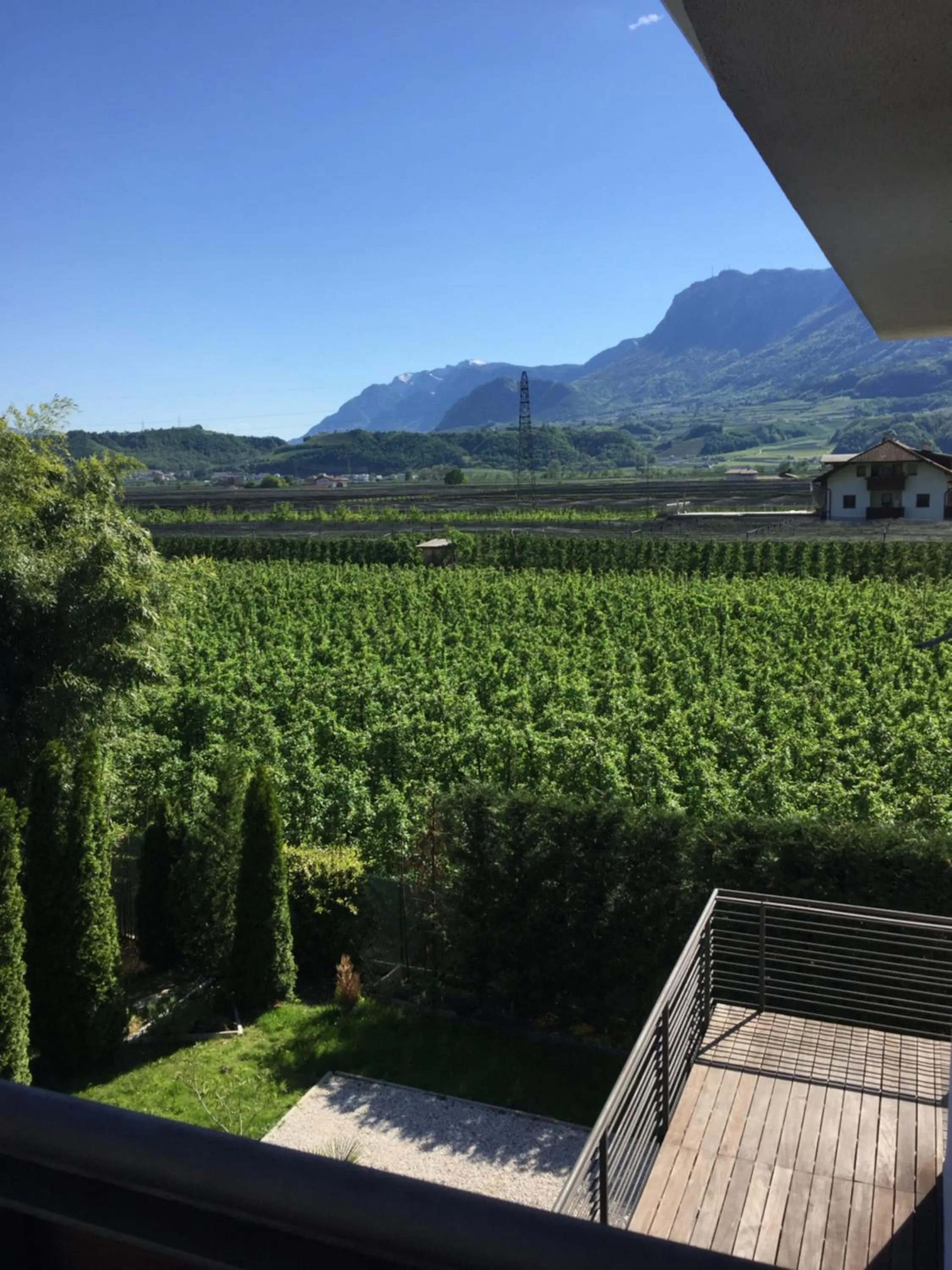 Spring in B&B Mele d'Oro