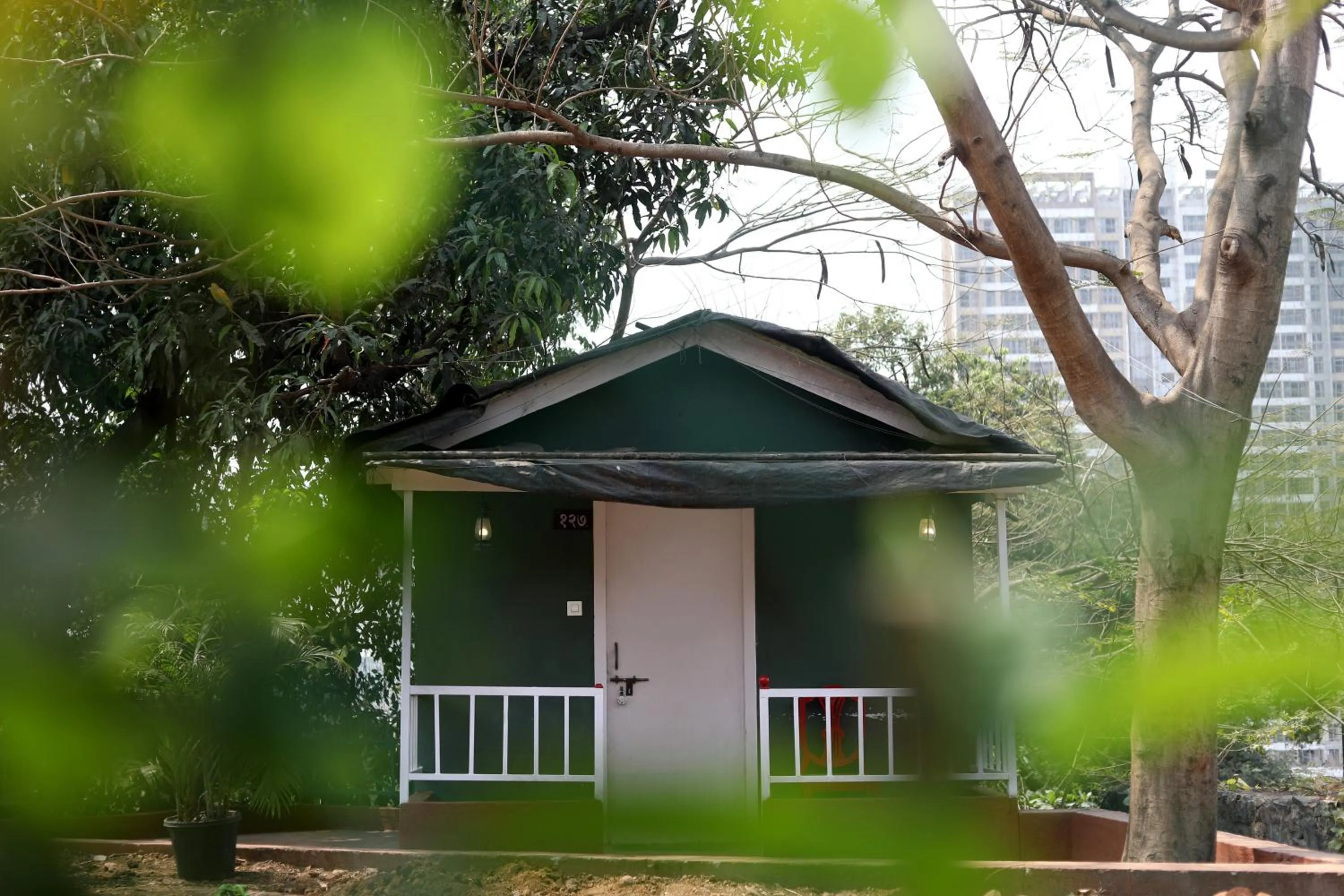 Photo of the whole room in Pali Village Resort