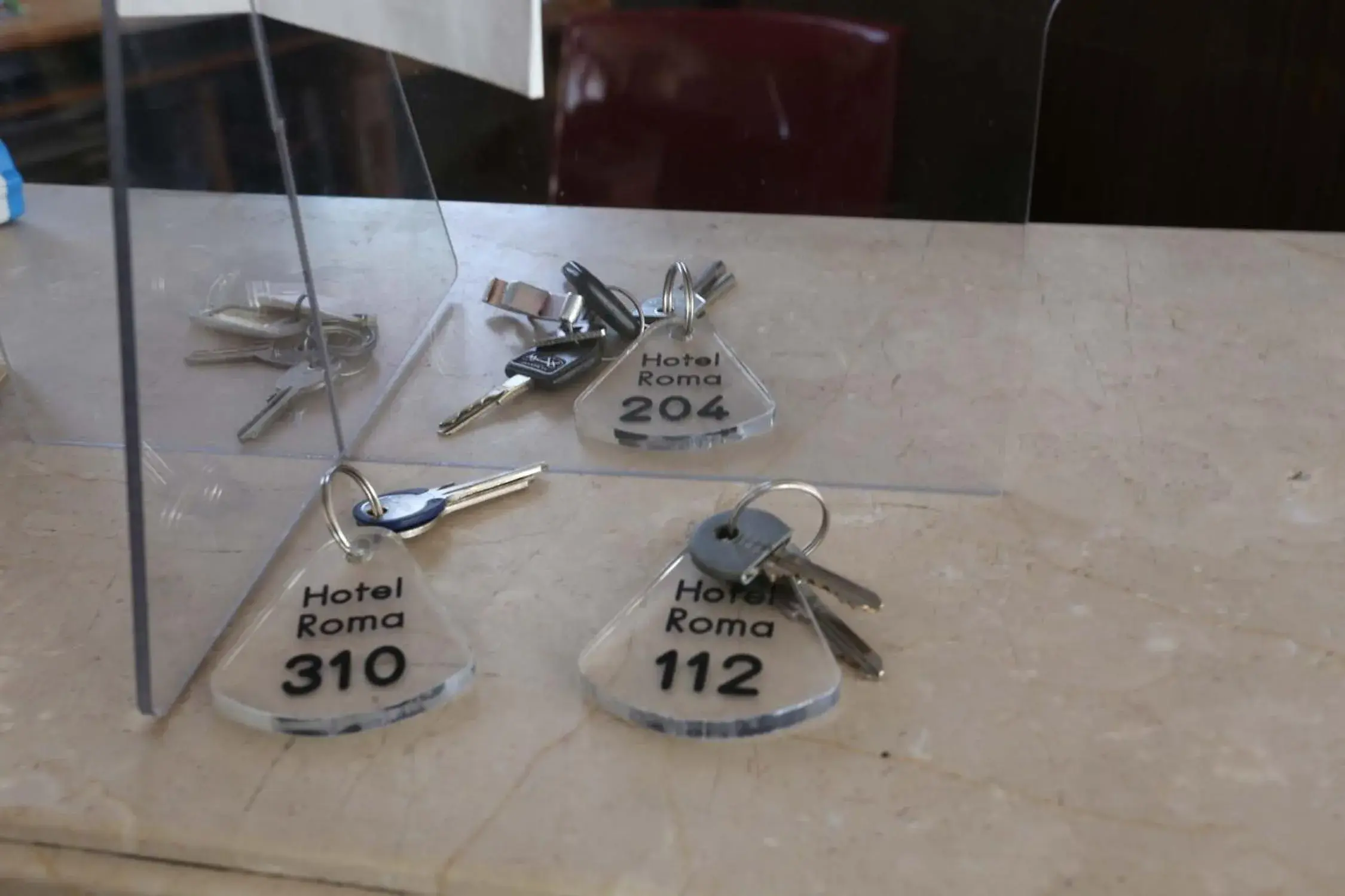 Single Room in Hotel Roma Single Room in Hotel Roma