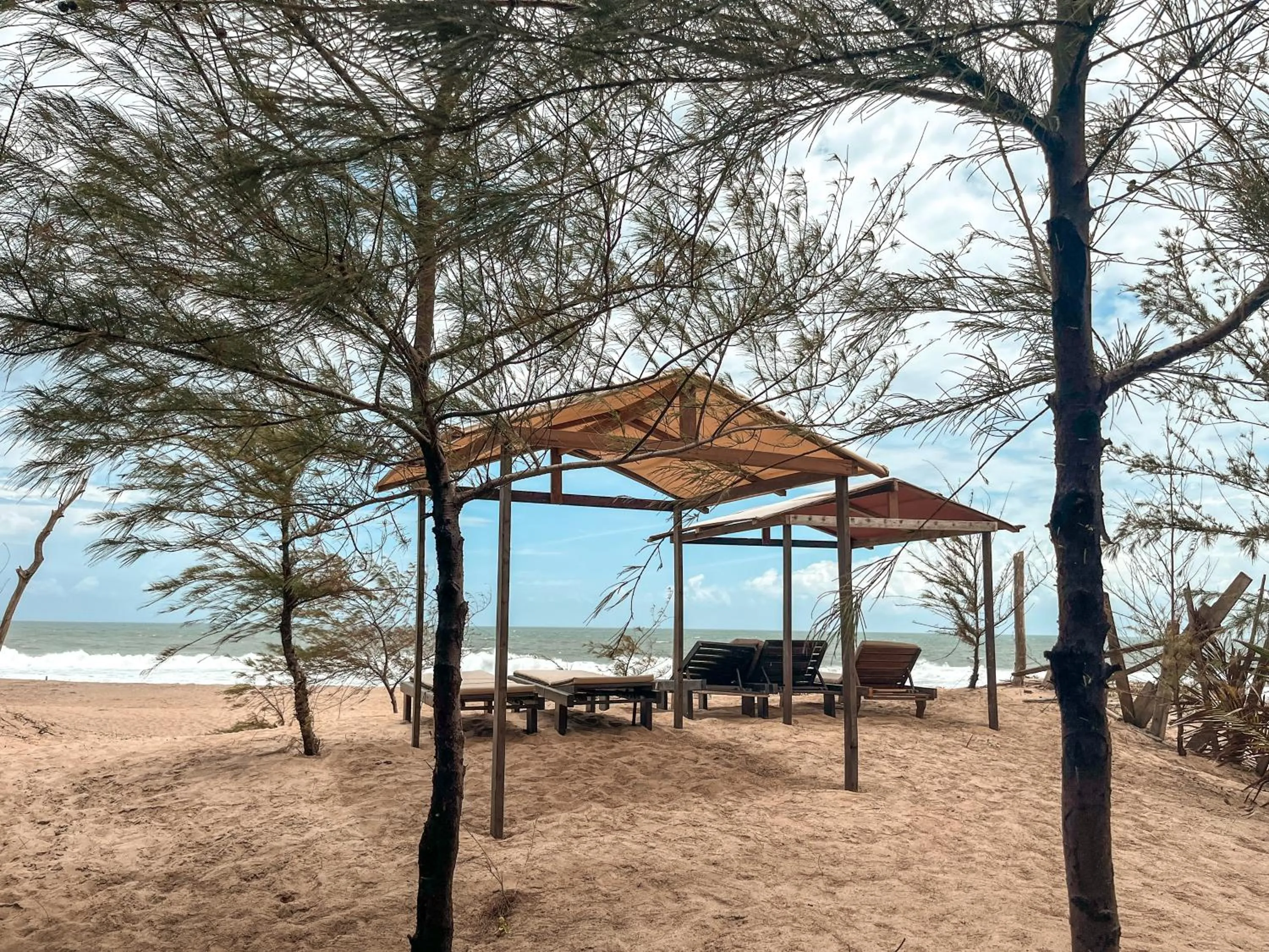 Garden in Stay Golden