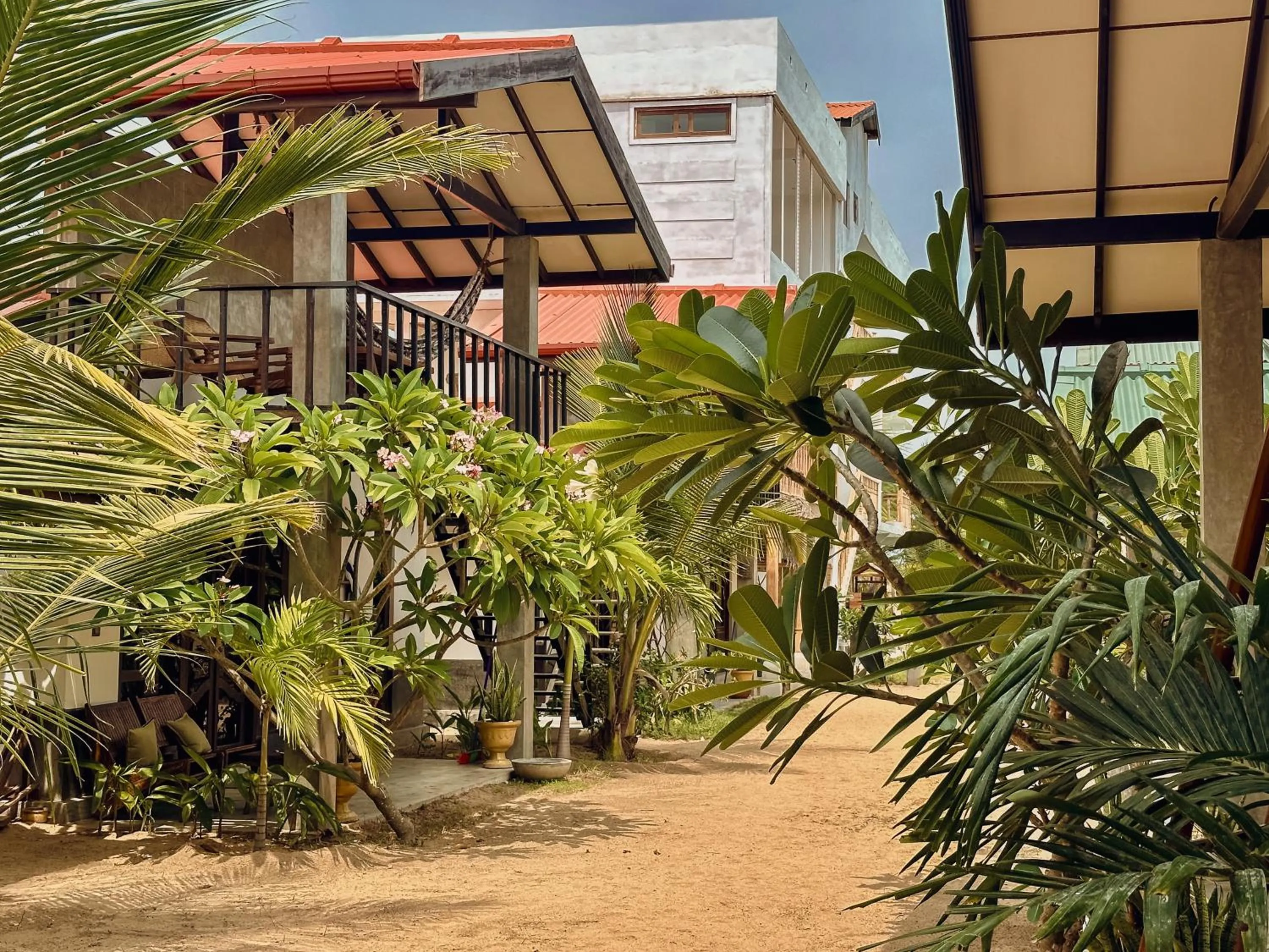 Garden in Stay Golden