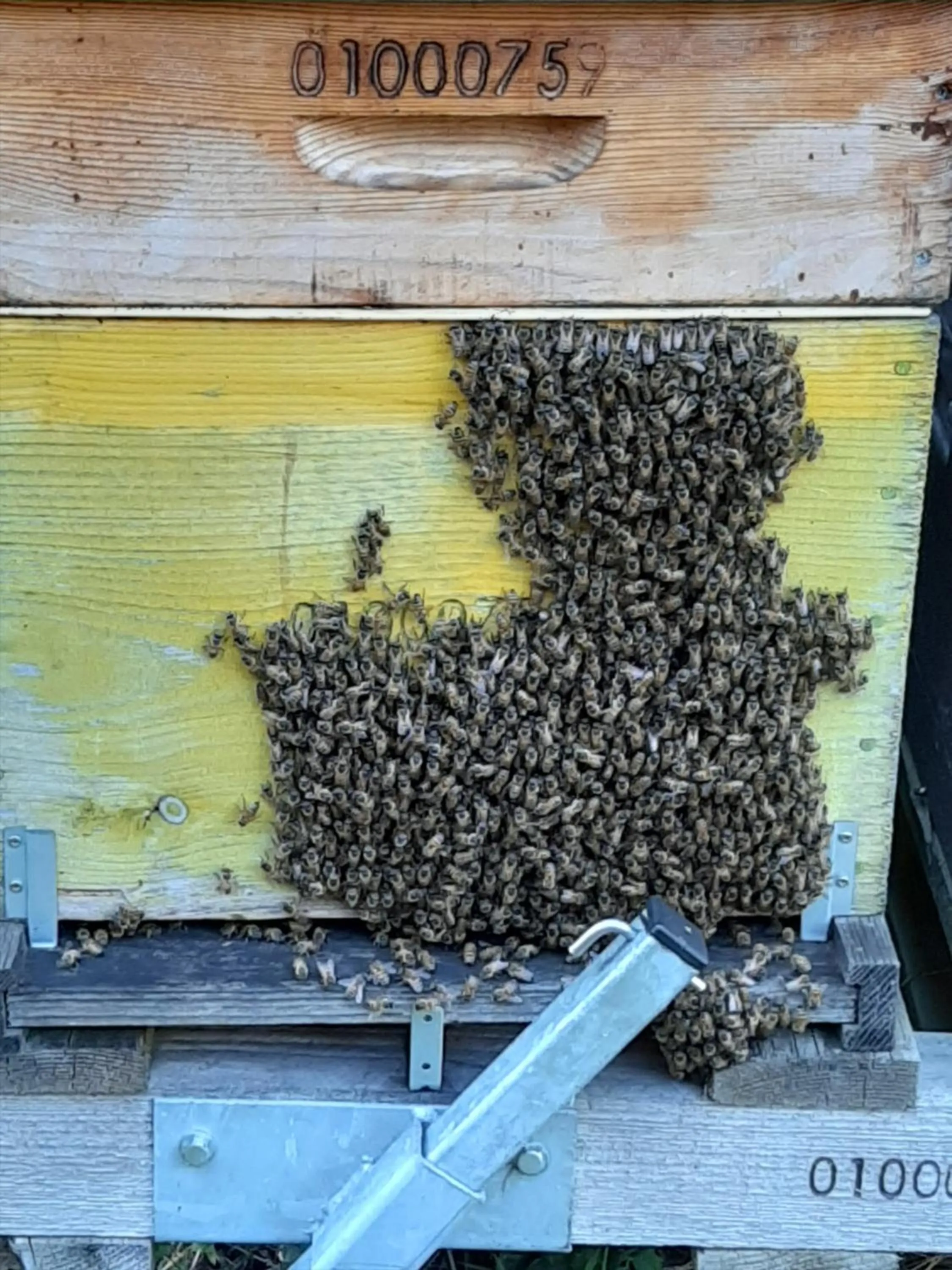 Off site in Le Grand Noyer