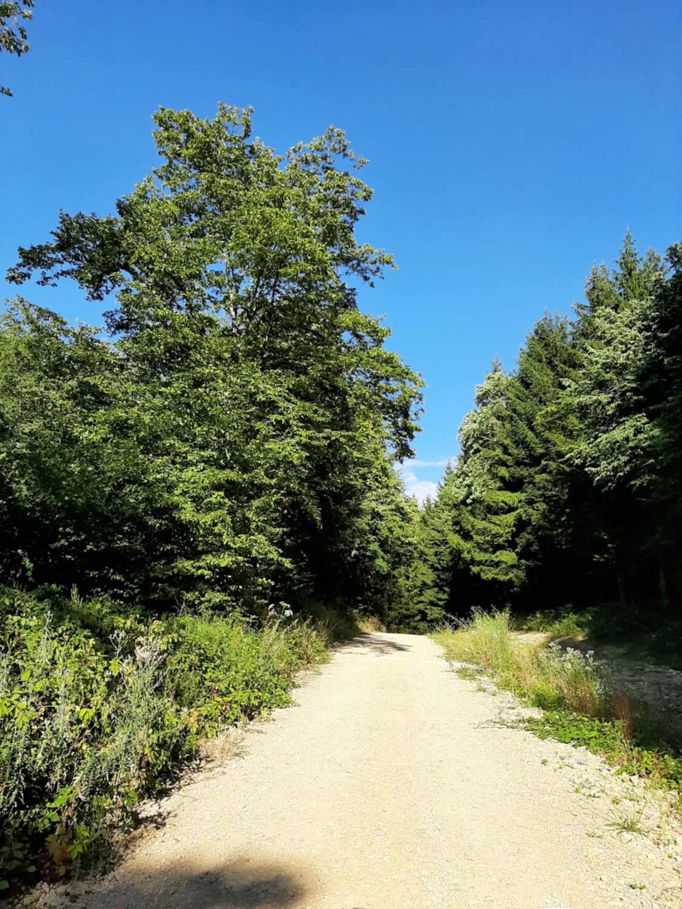 Off site in Le Grand Noyer