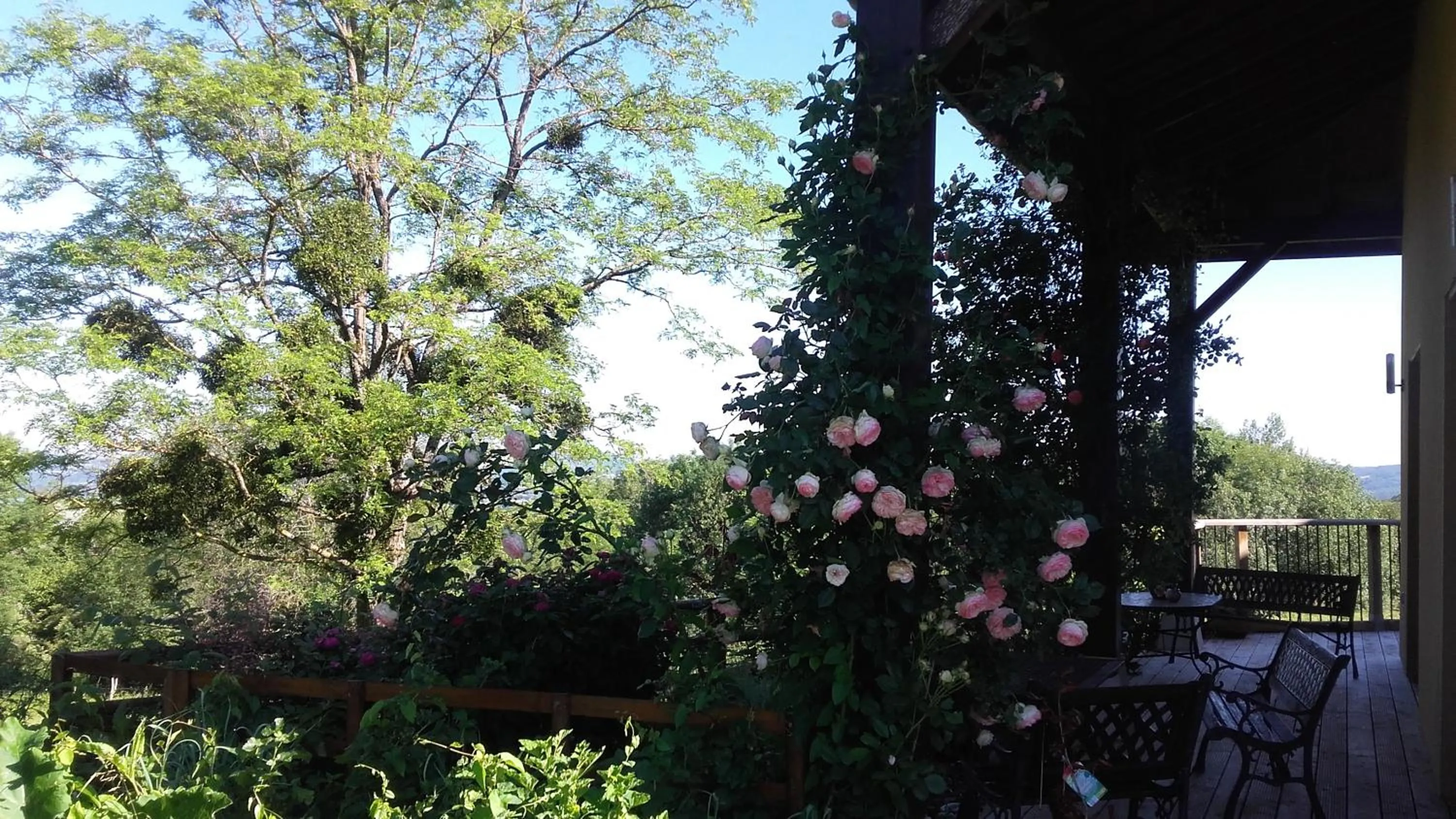 Spring in Le Grand Noyer