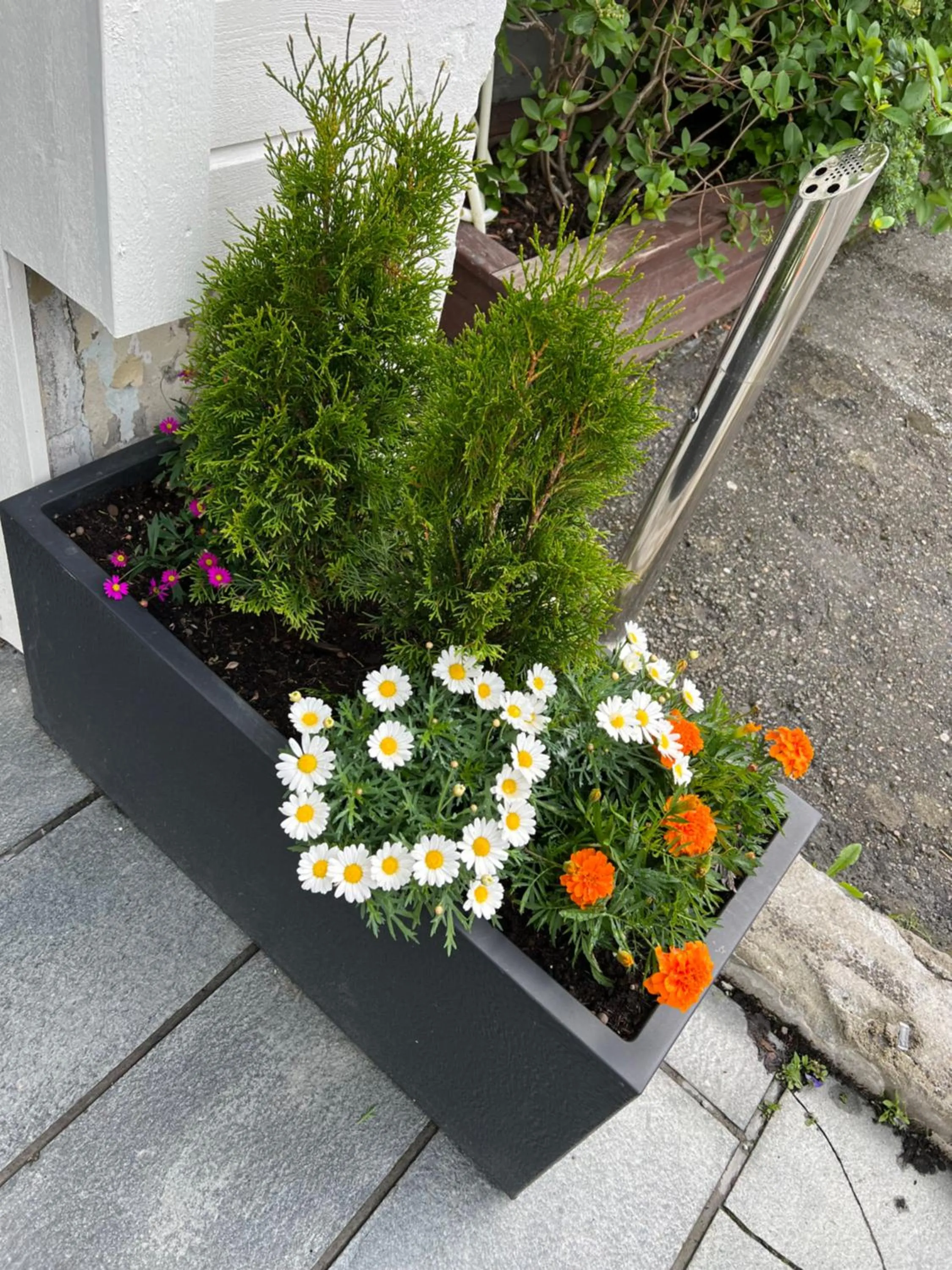 Breakfast in Mosjøen Hotel