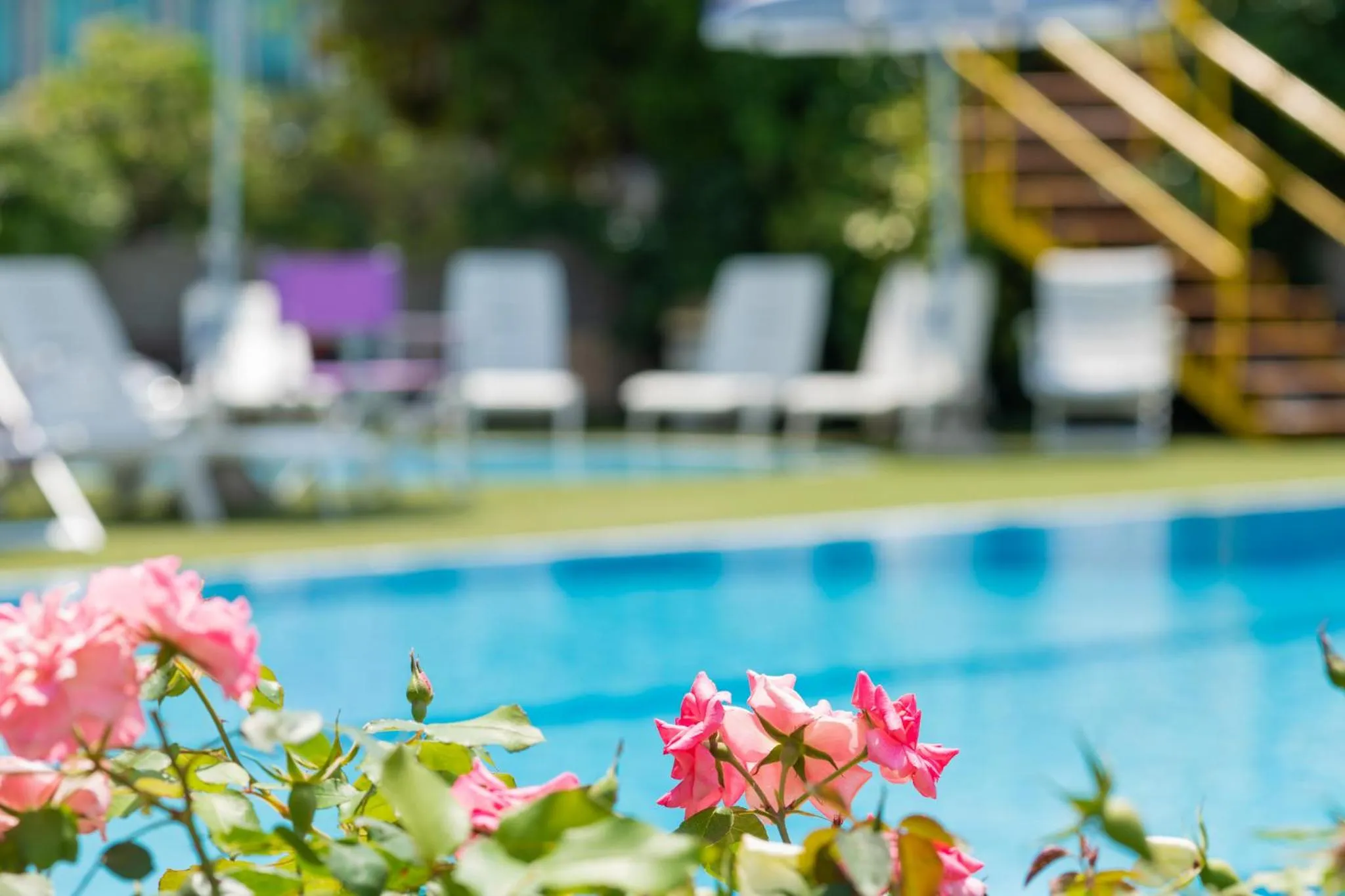 Swimming pool in Hotel Caesar